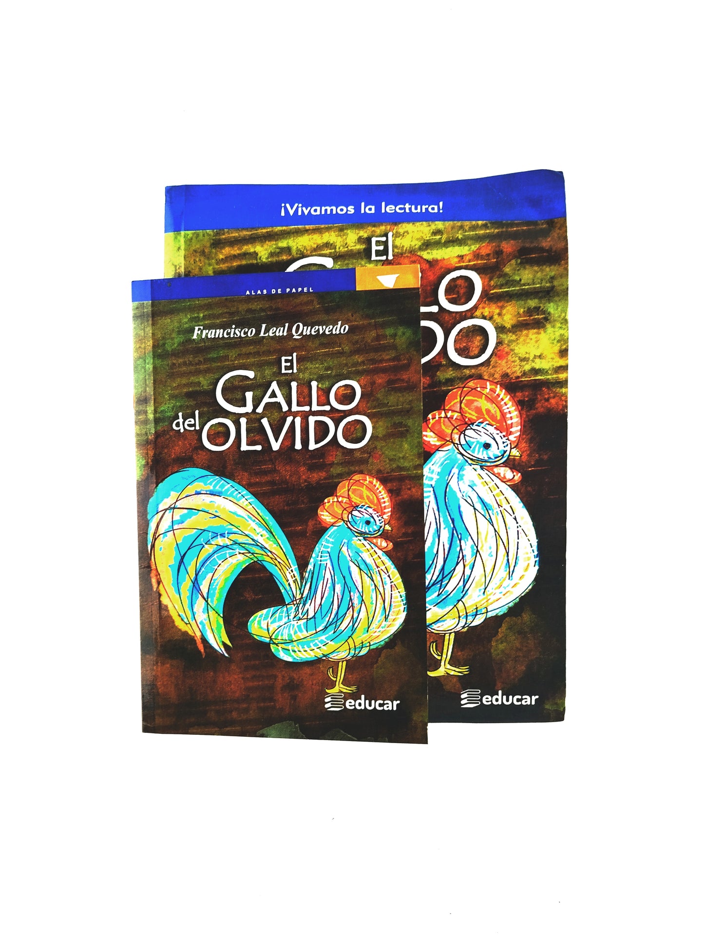 El gallo del olvido kit