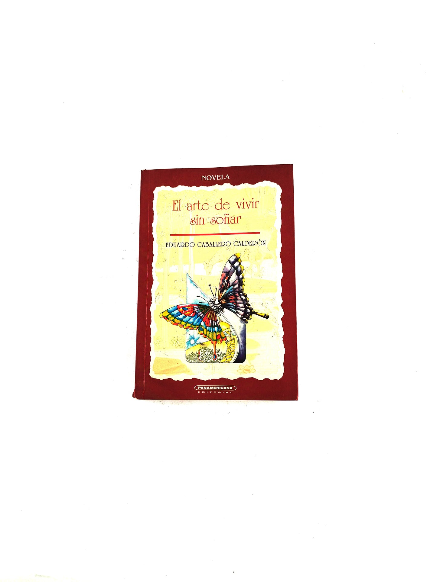 El arte de vivir sin soñar