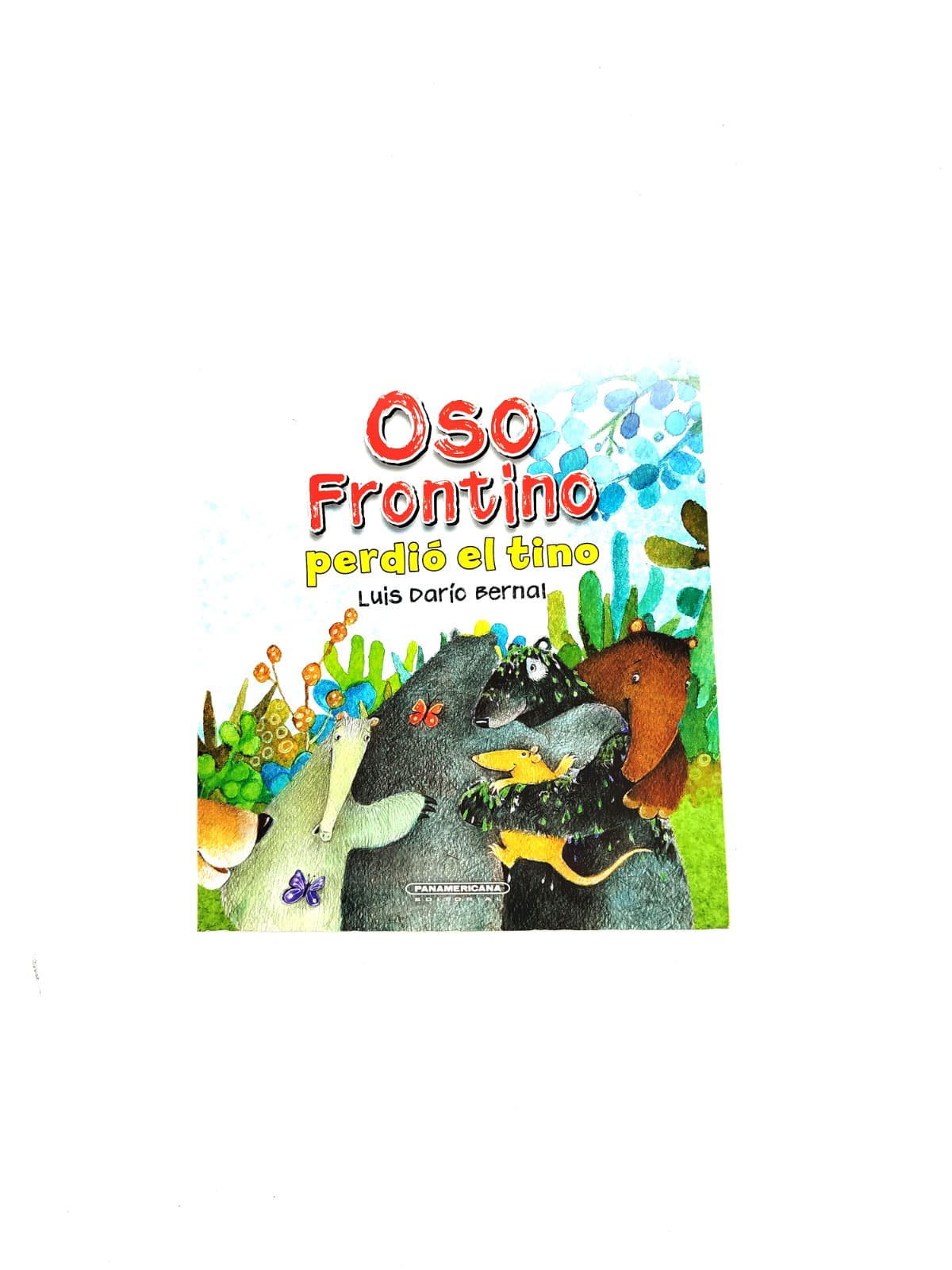 Oso Frontino perdió el tino