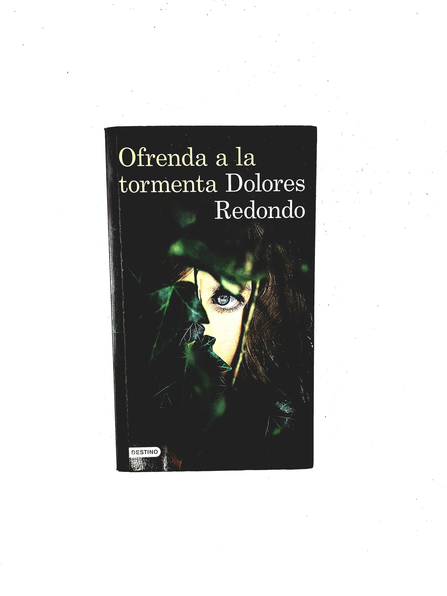 Ofrenda a la tormenta