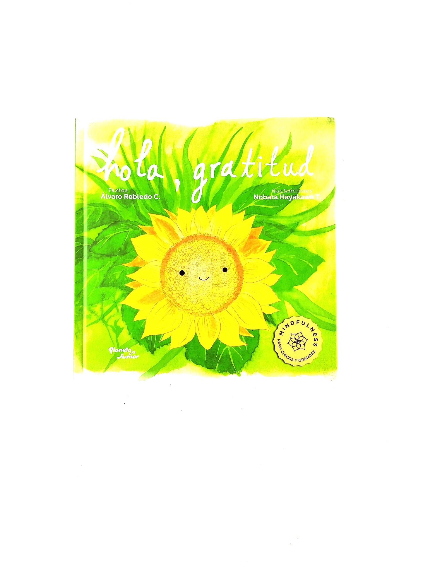 Hola gratitud