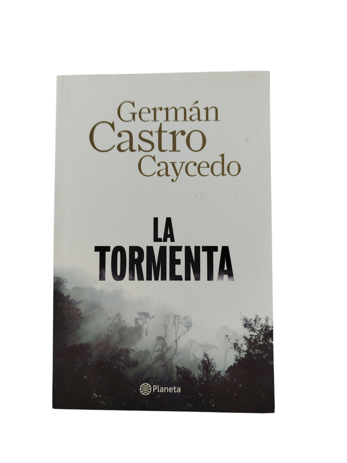 La tormenta by German castro caycedo