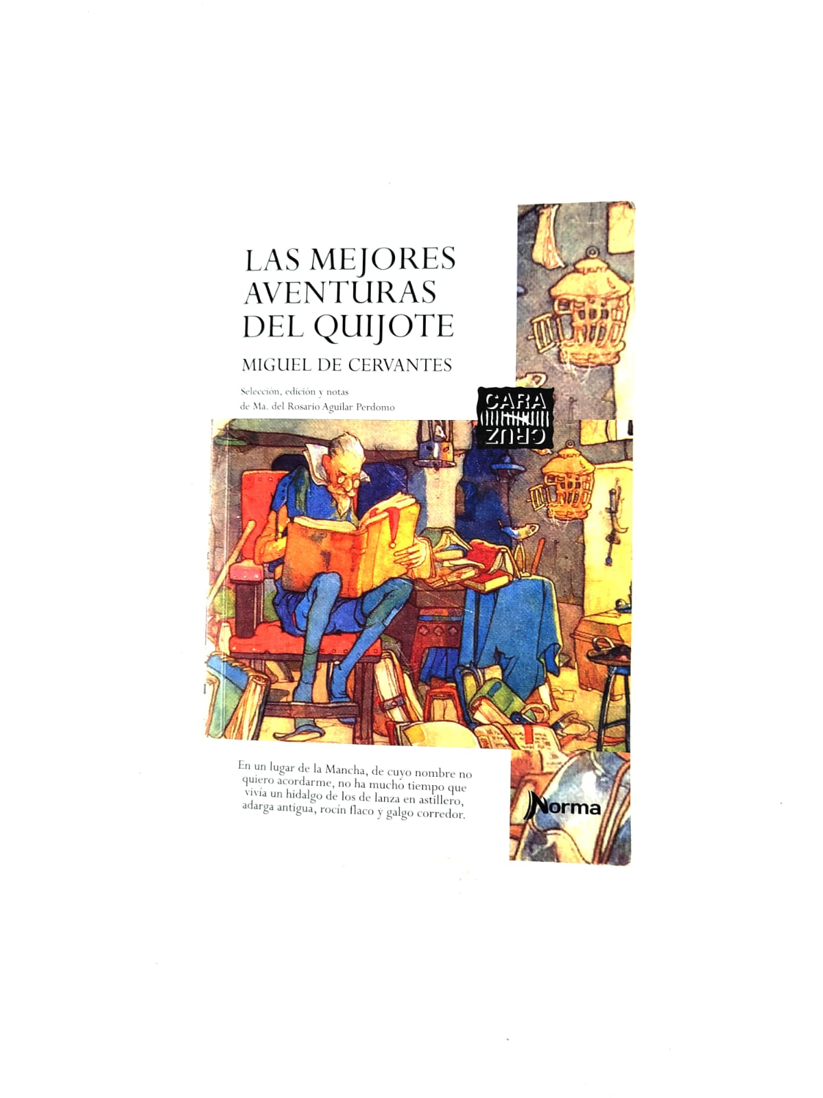 Las Mejores Aventuras Del Quijote