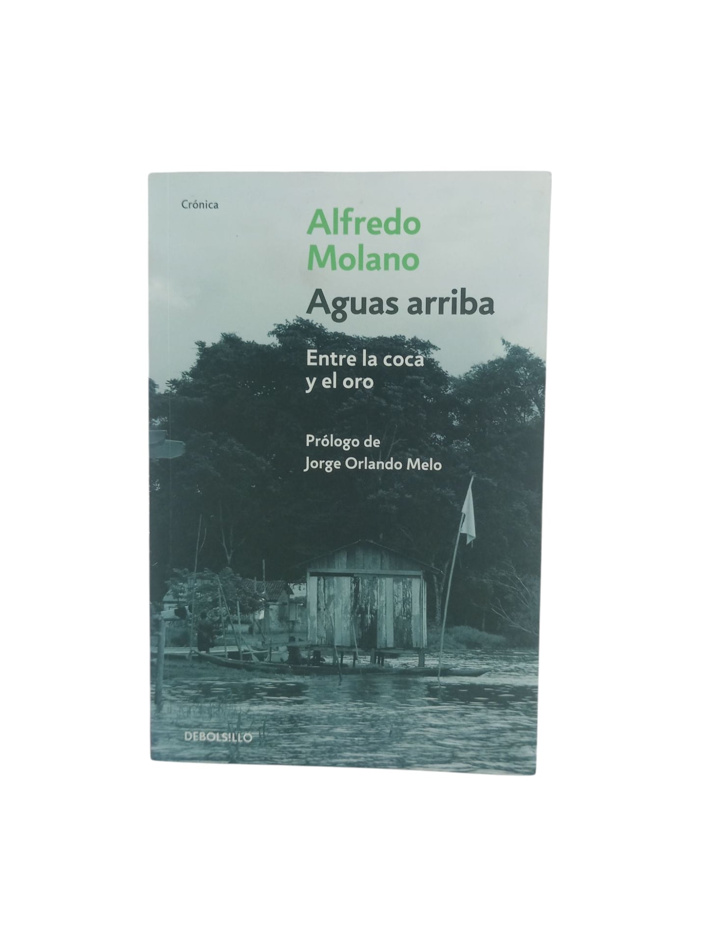 Aguas arriba entre la coca y el oro