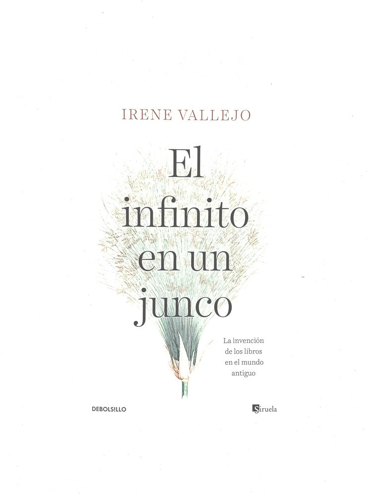 El infinito en un junco by Irene Vallejo