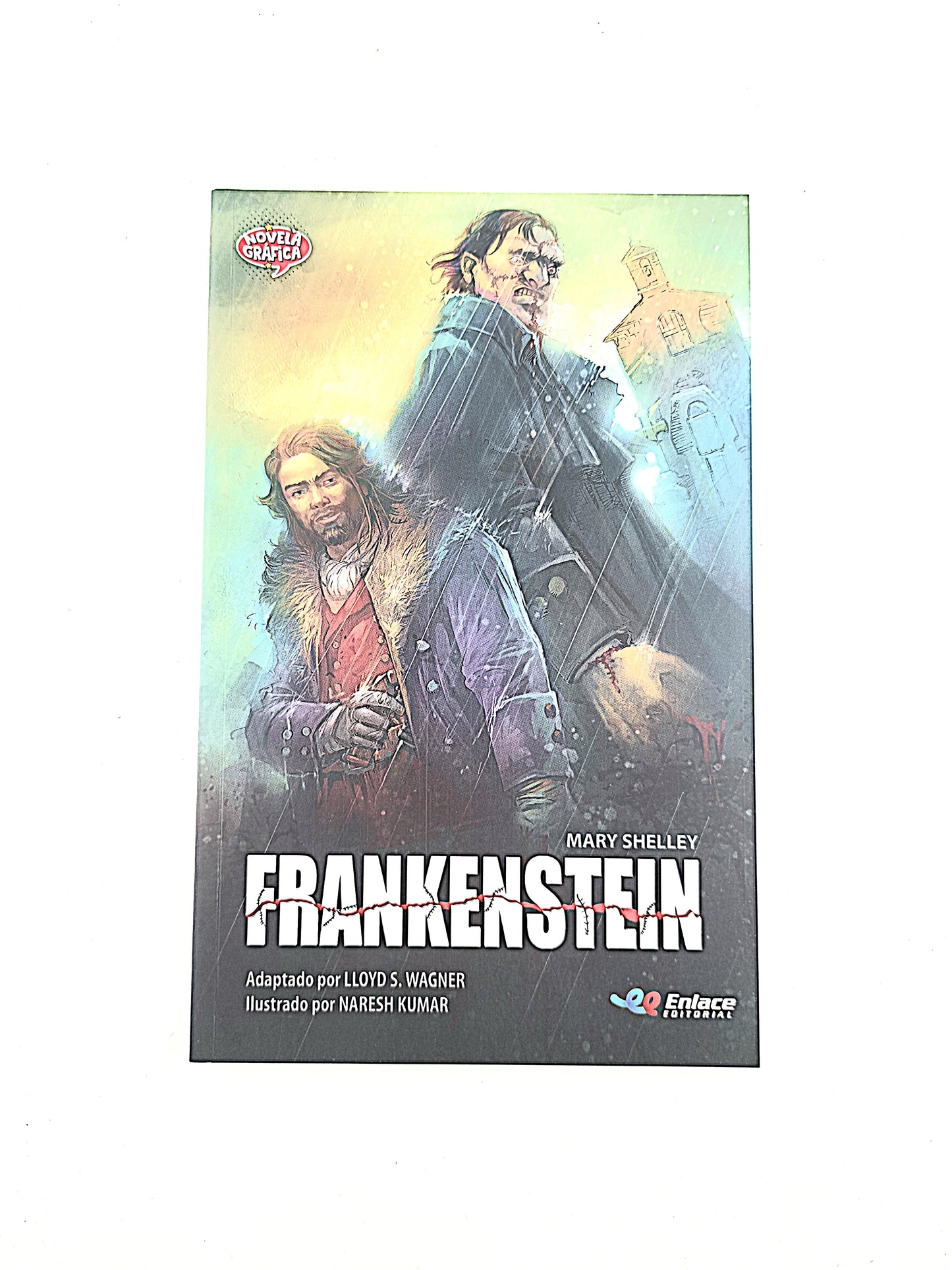 Frankenstein novela gráfica by Mary Shelley