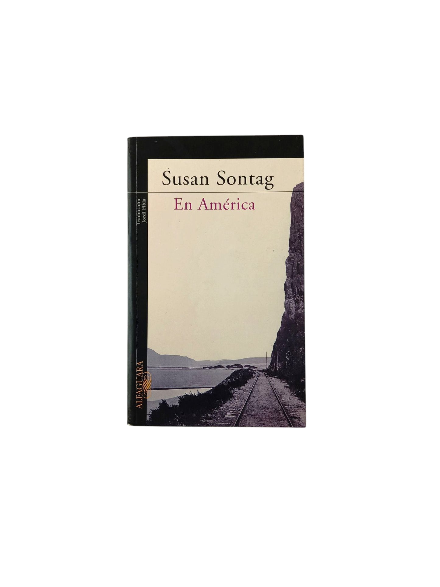 En América by Susan Sontag