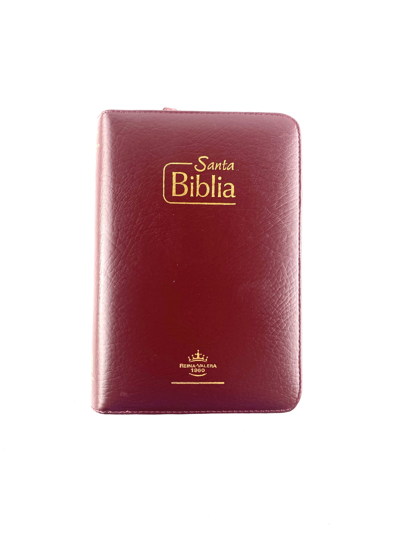 Biblia rvr 1960 vinotinto letra grande canto blanco
