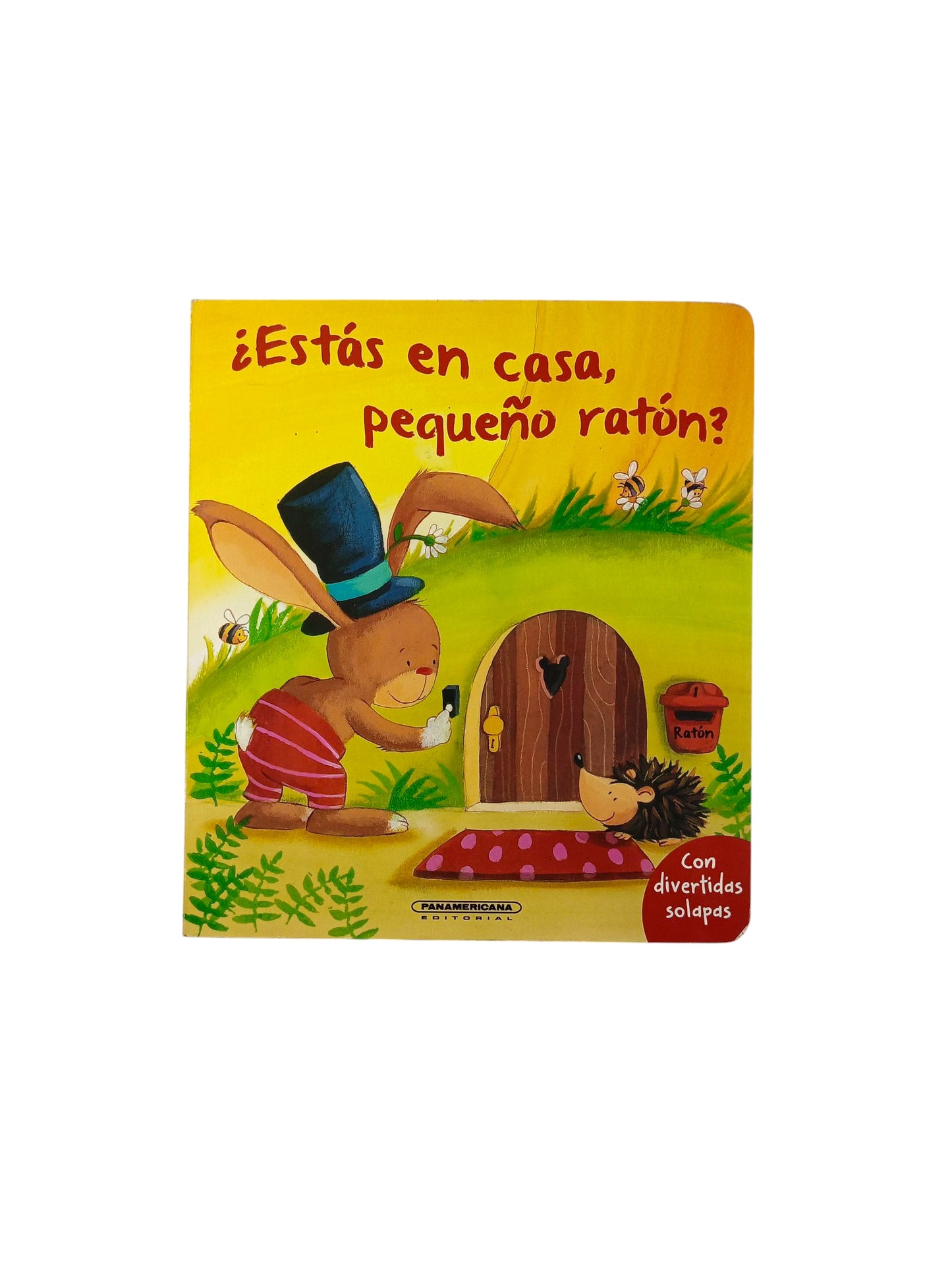 ¿Estás en casa, pequeño ratón?