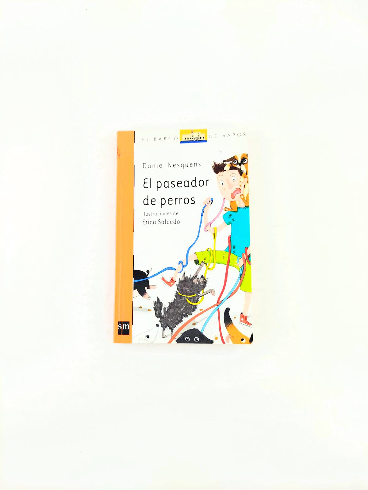 El paseador de perros
