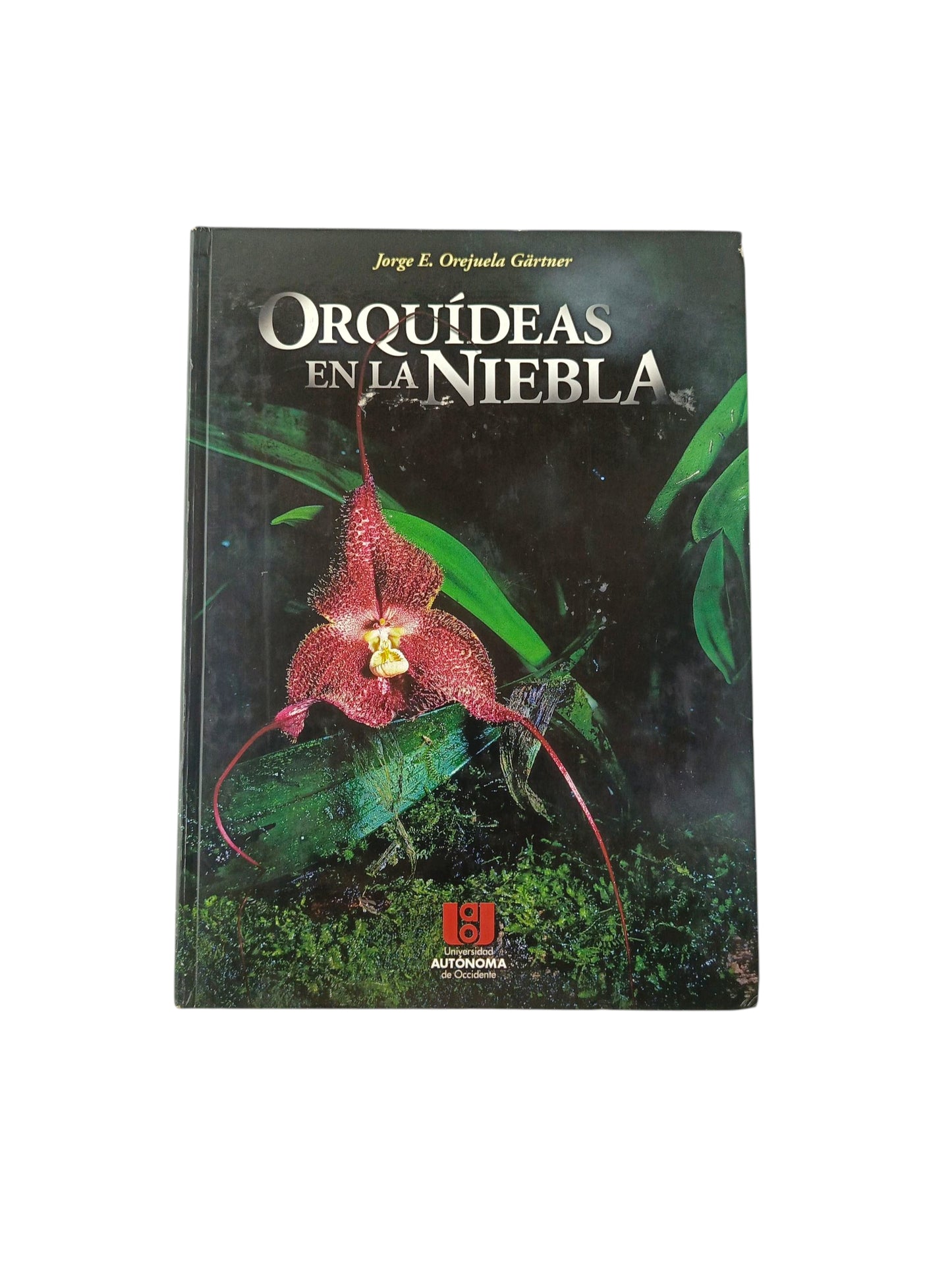 Orquídeas En La Niebla