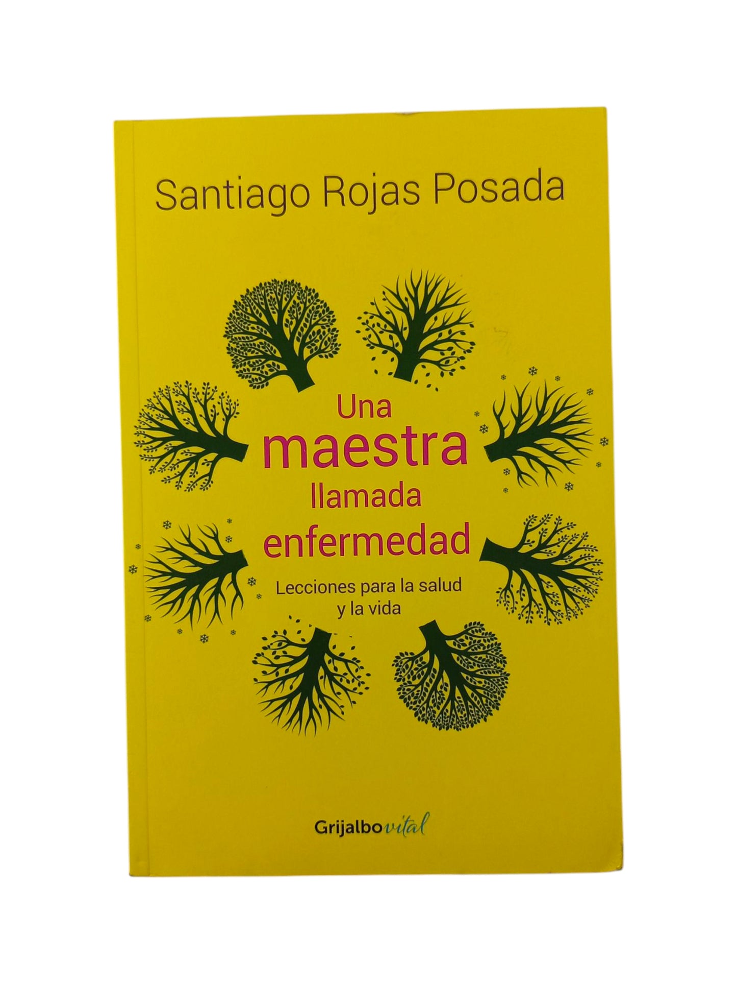 Una maestra llamada enfermedad