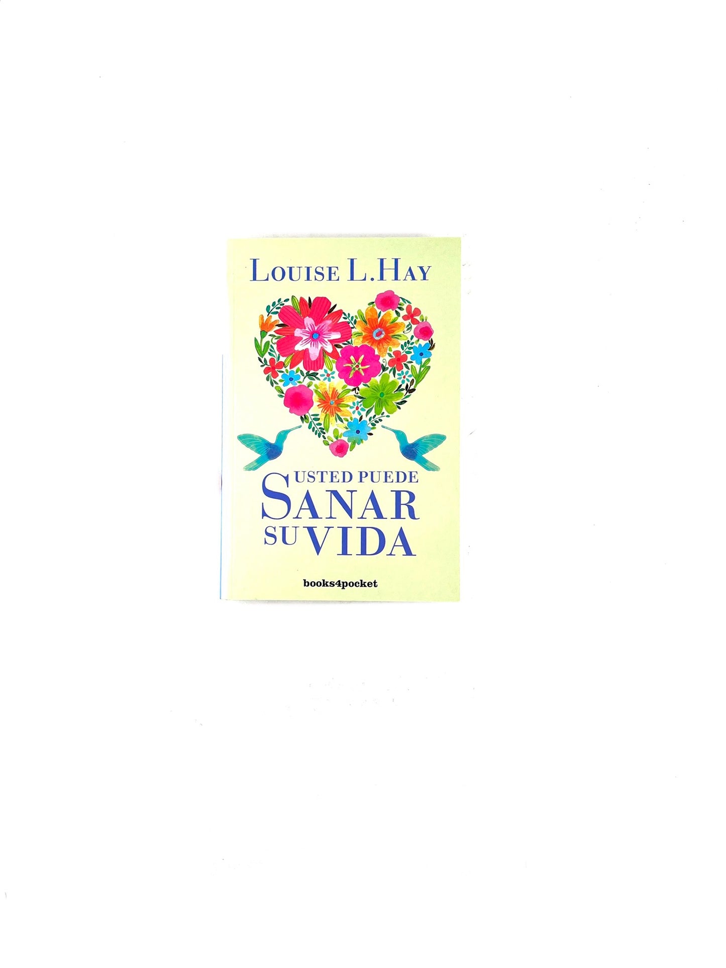 Usted puede sanar su vida