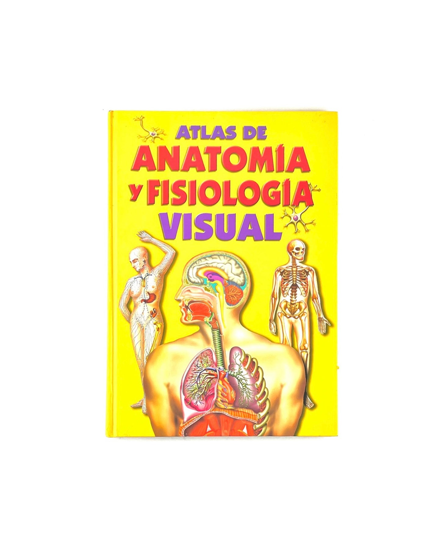 Atlas de anatomía y fisiología visual by Alejandro Romero Chávez, Norma Adriana León