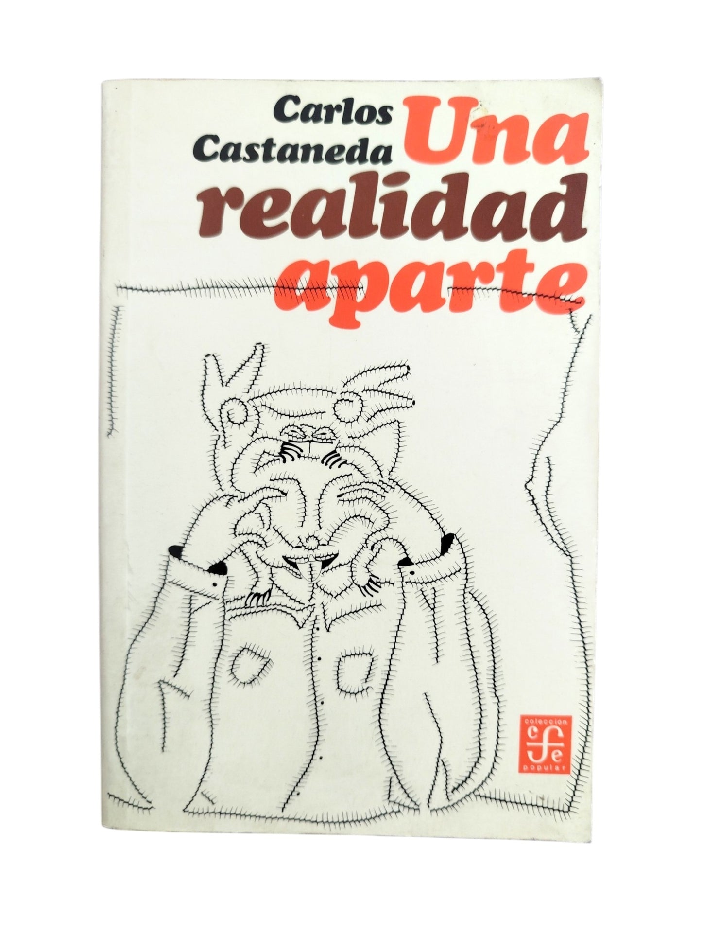 Una realidad aparte by Carlos Catañeda