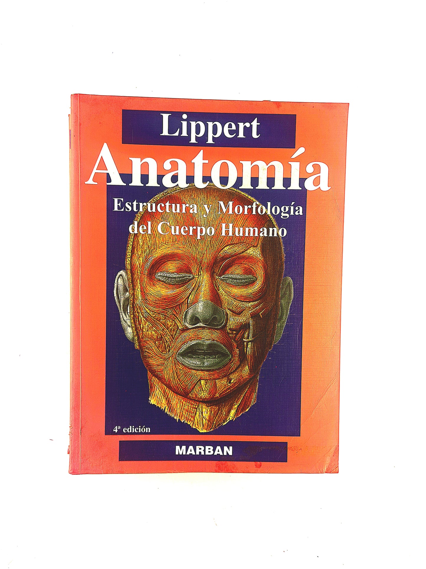 Lippert Anatomía estructura y morfologia de cuerpo humano 4a edición