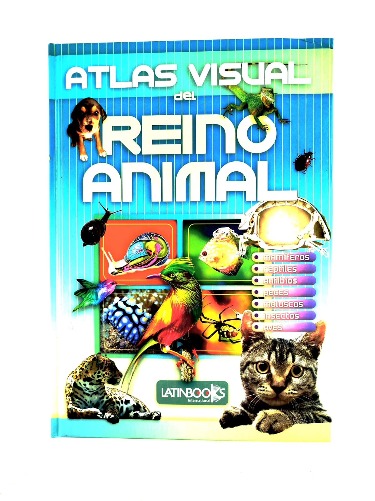 Atlas visual del reino animal by Adriana Cuenca