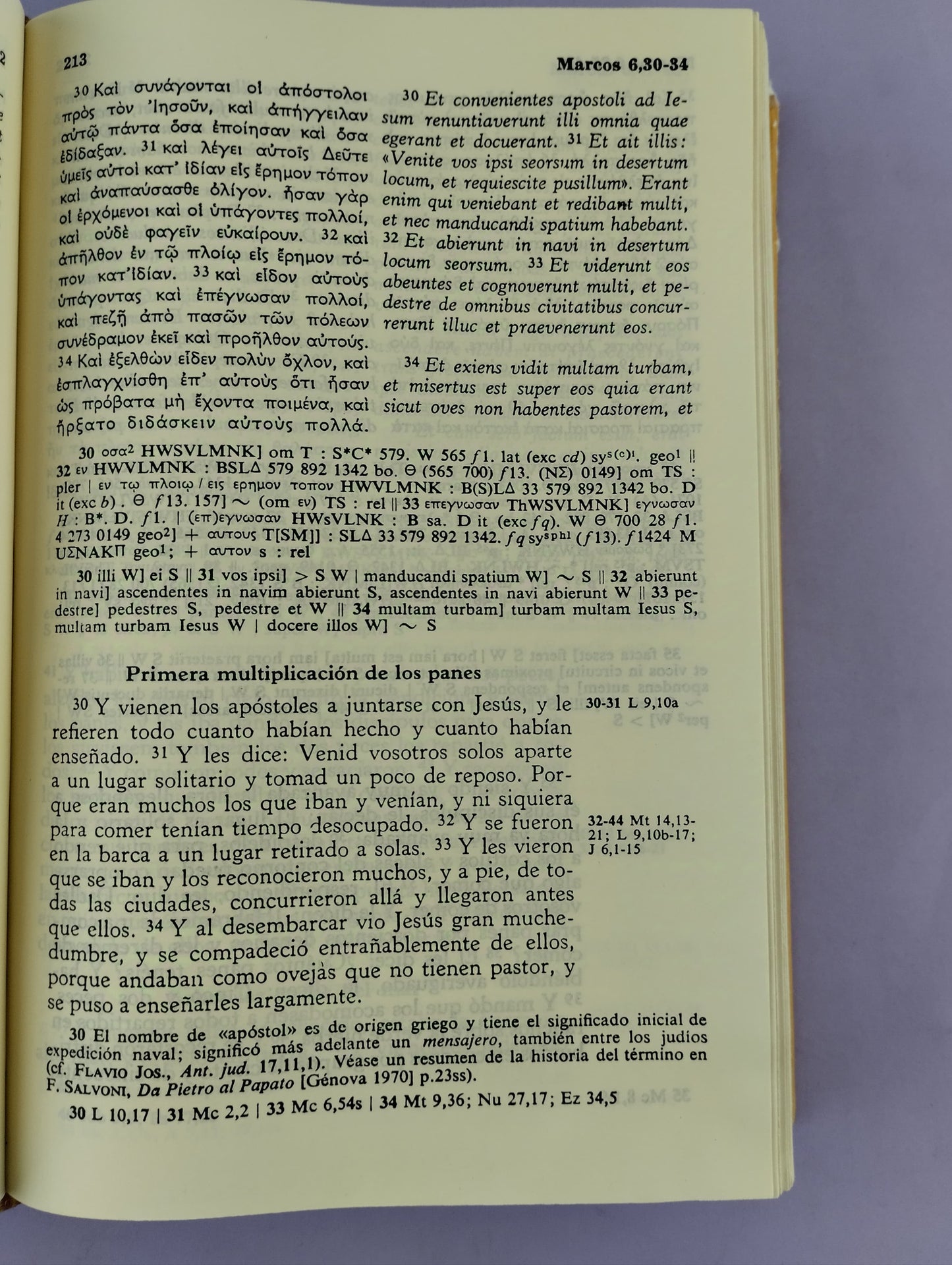 Nuevo testamento trilingüe