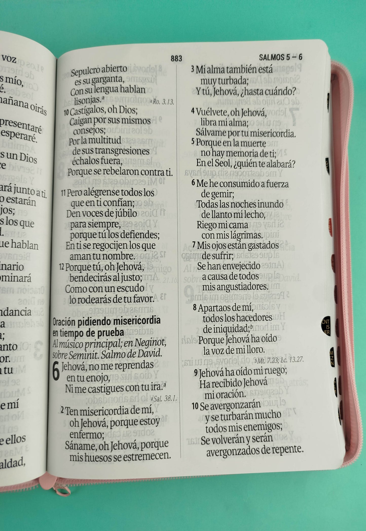 Biblia reina valera 1960 letra súper gigante rosa con índice