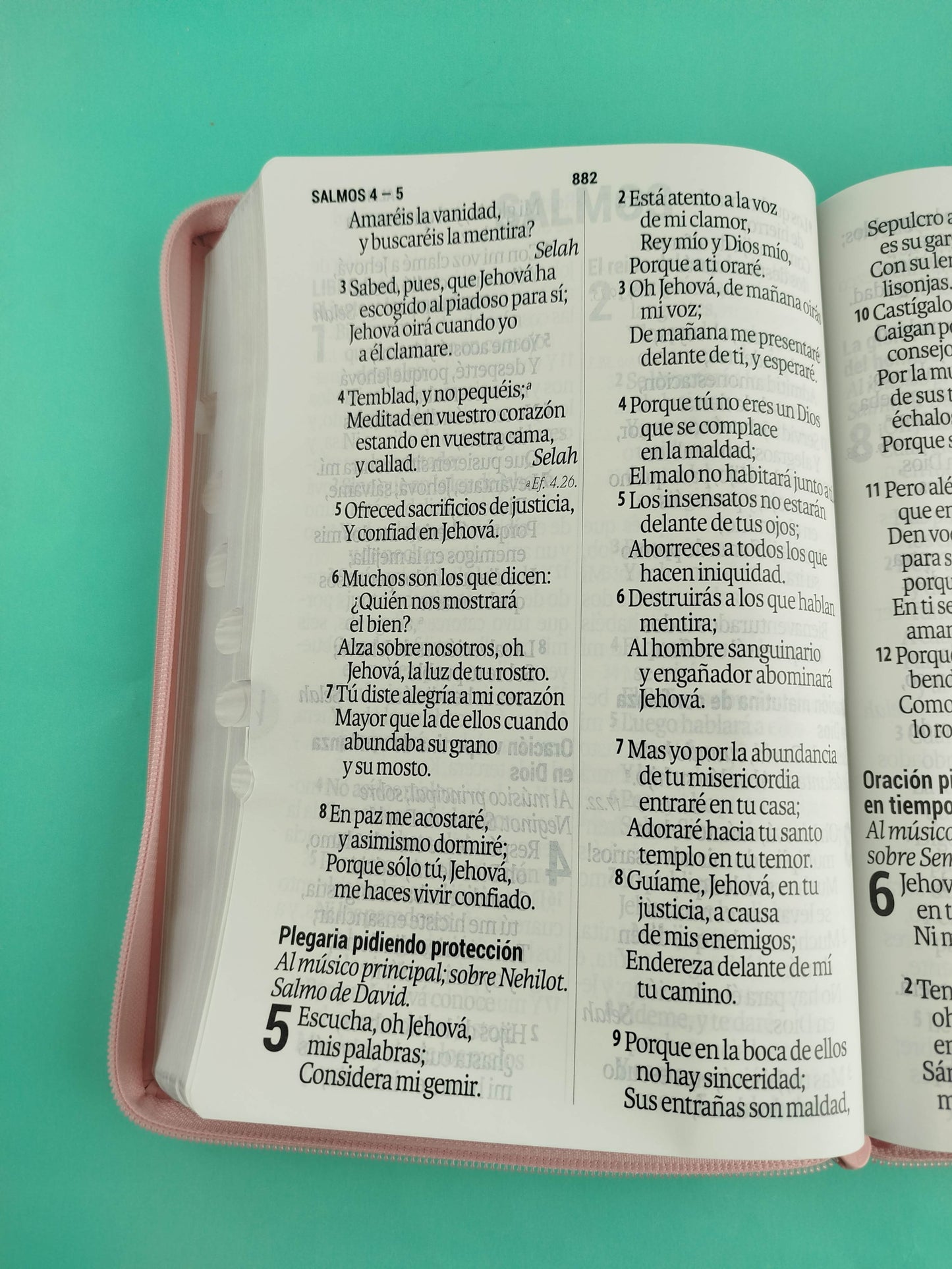 Biblia reina valera 1960 letra súper gigante rosa con índice