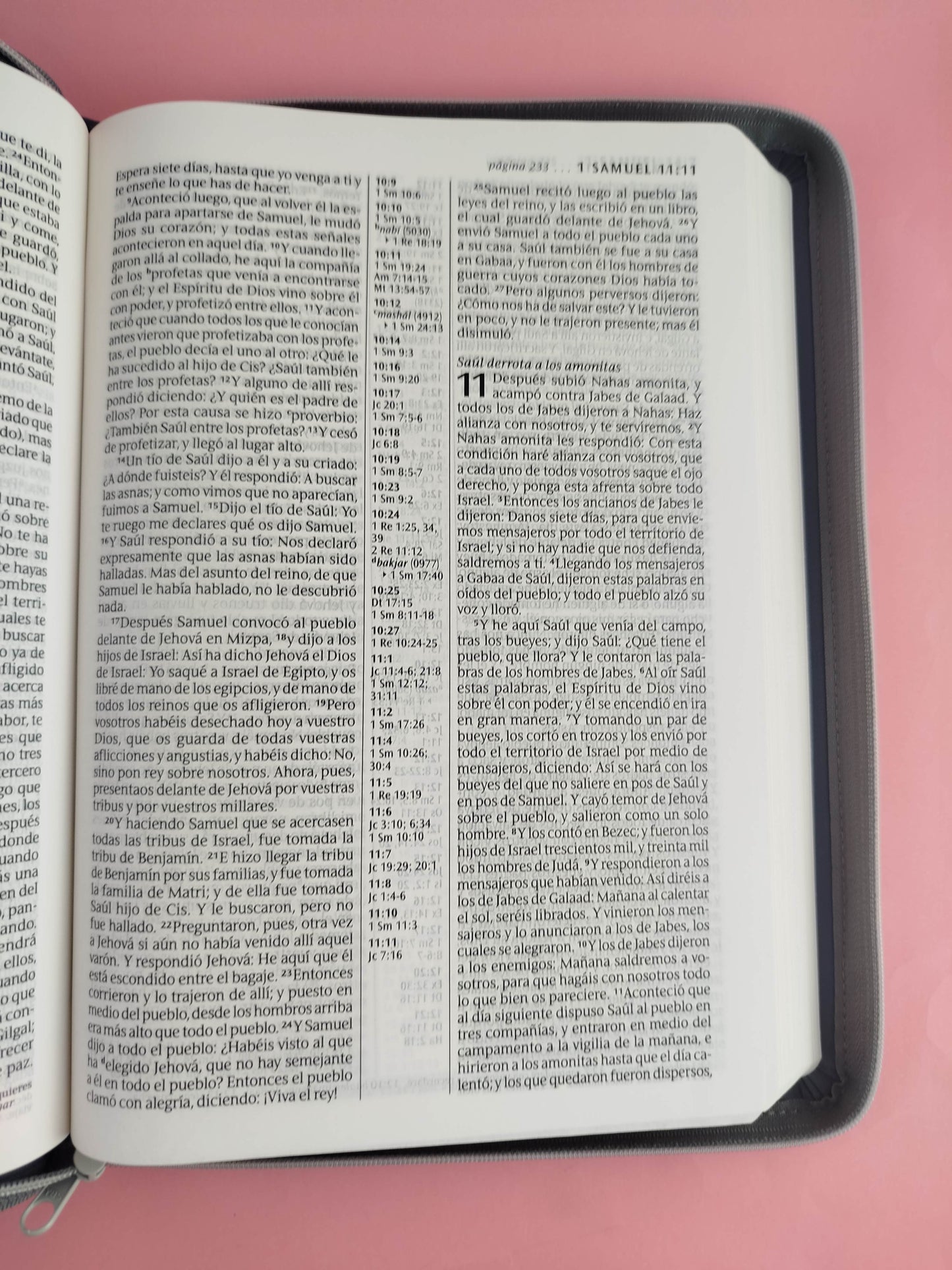 Biblia RVR letra grande sentipiel gris edición zíper con referencia
