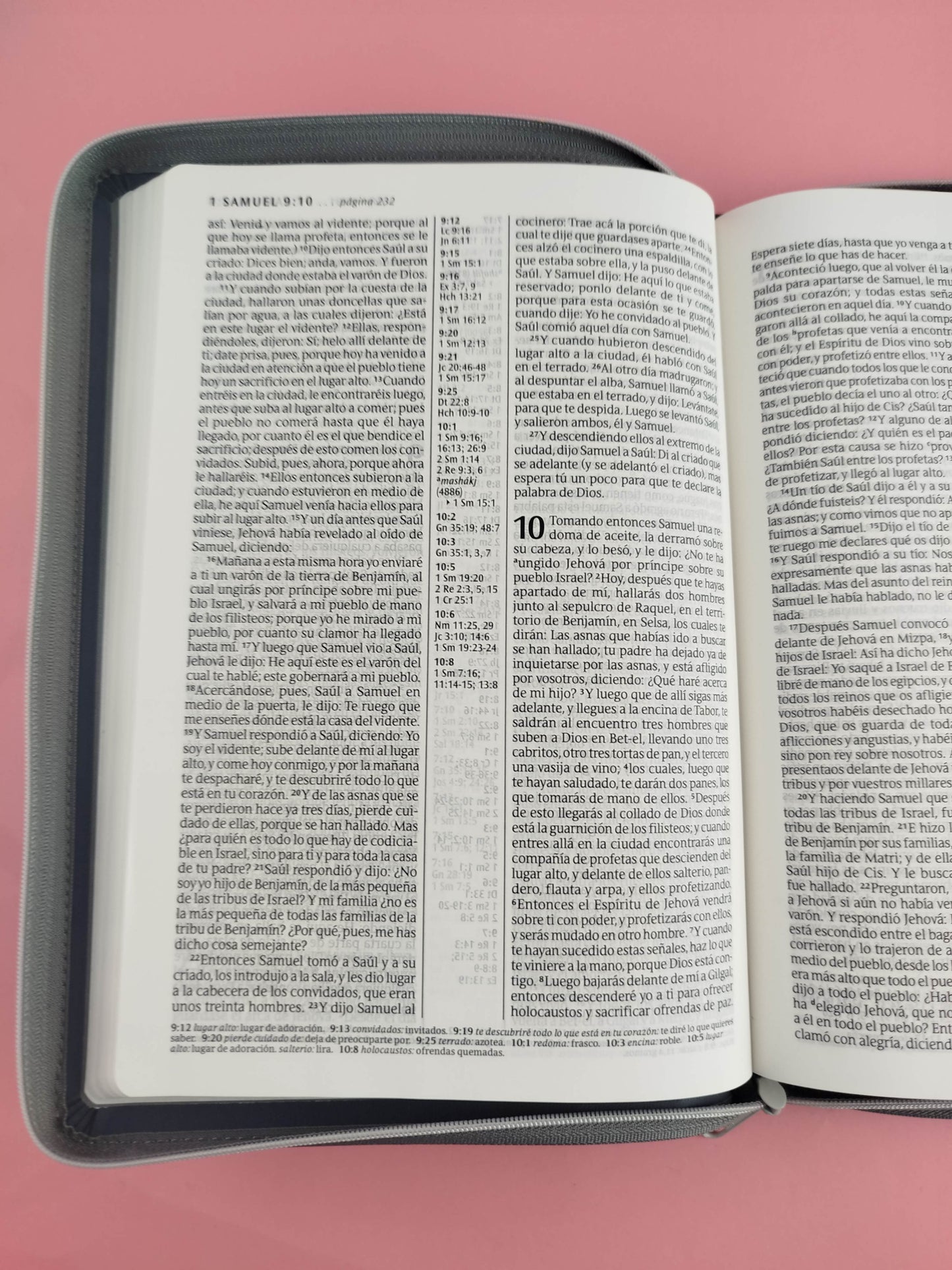 Biblia RVR letra grande sentipiel gris edición zíper con referencia