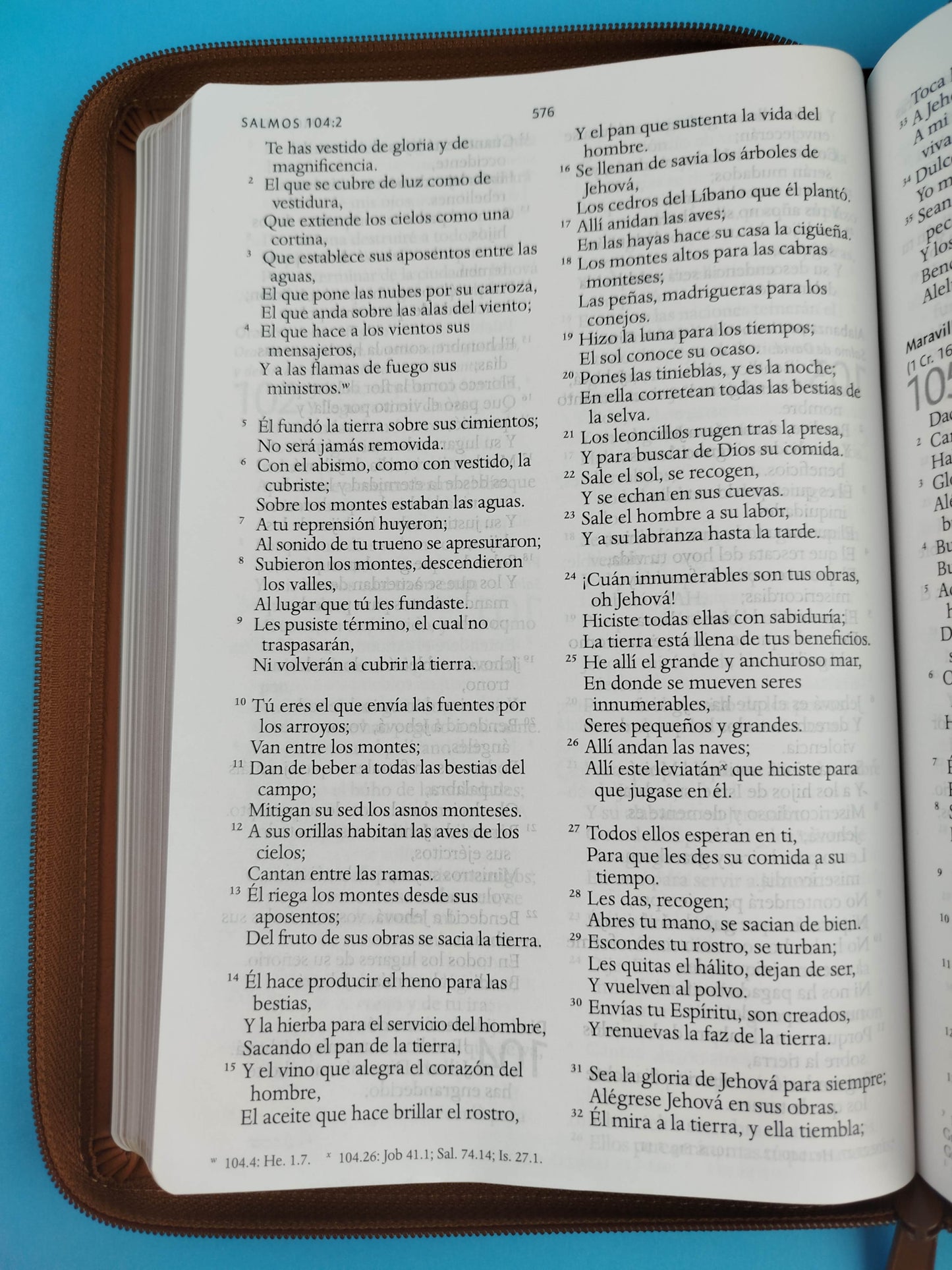 Biblia rvr 1960 letra grande tipo agenda marrón miel con cierre e imágenes de la tierra santa