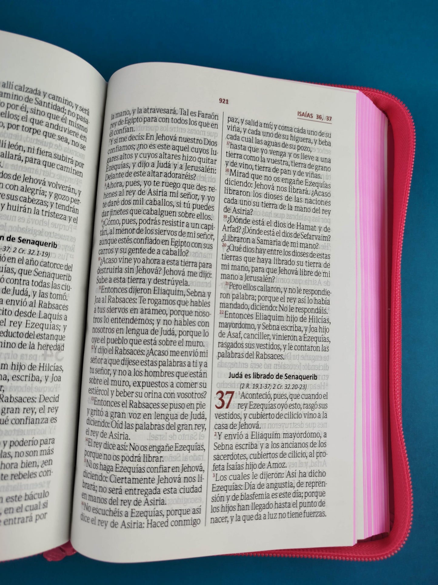 Biblia letra grande promoción fucsia flores