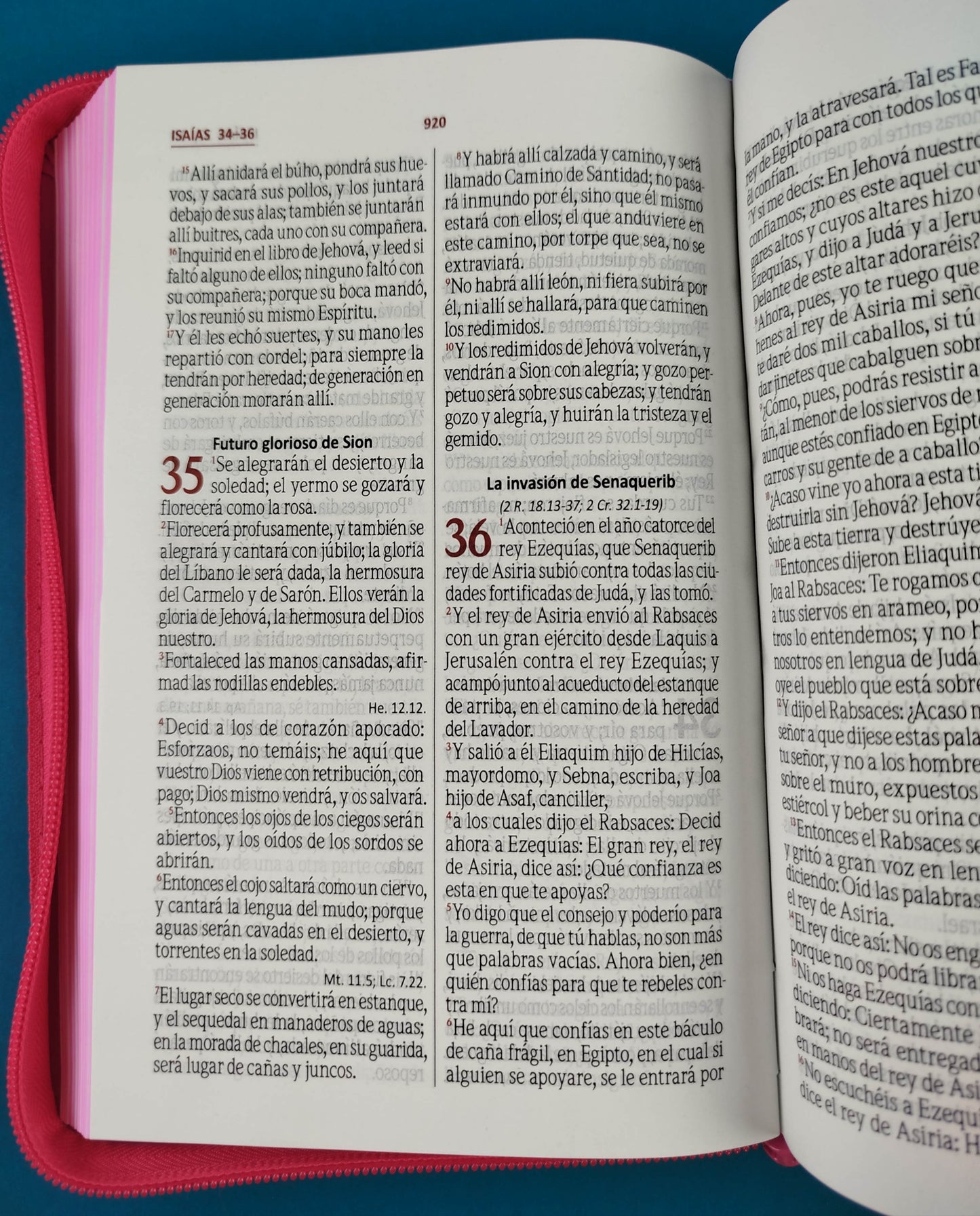 Biblia letra grande promoción fucsia flores