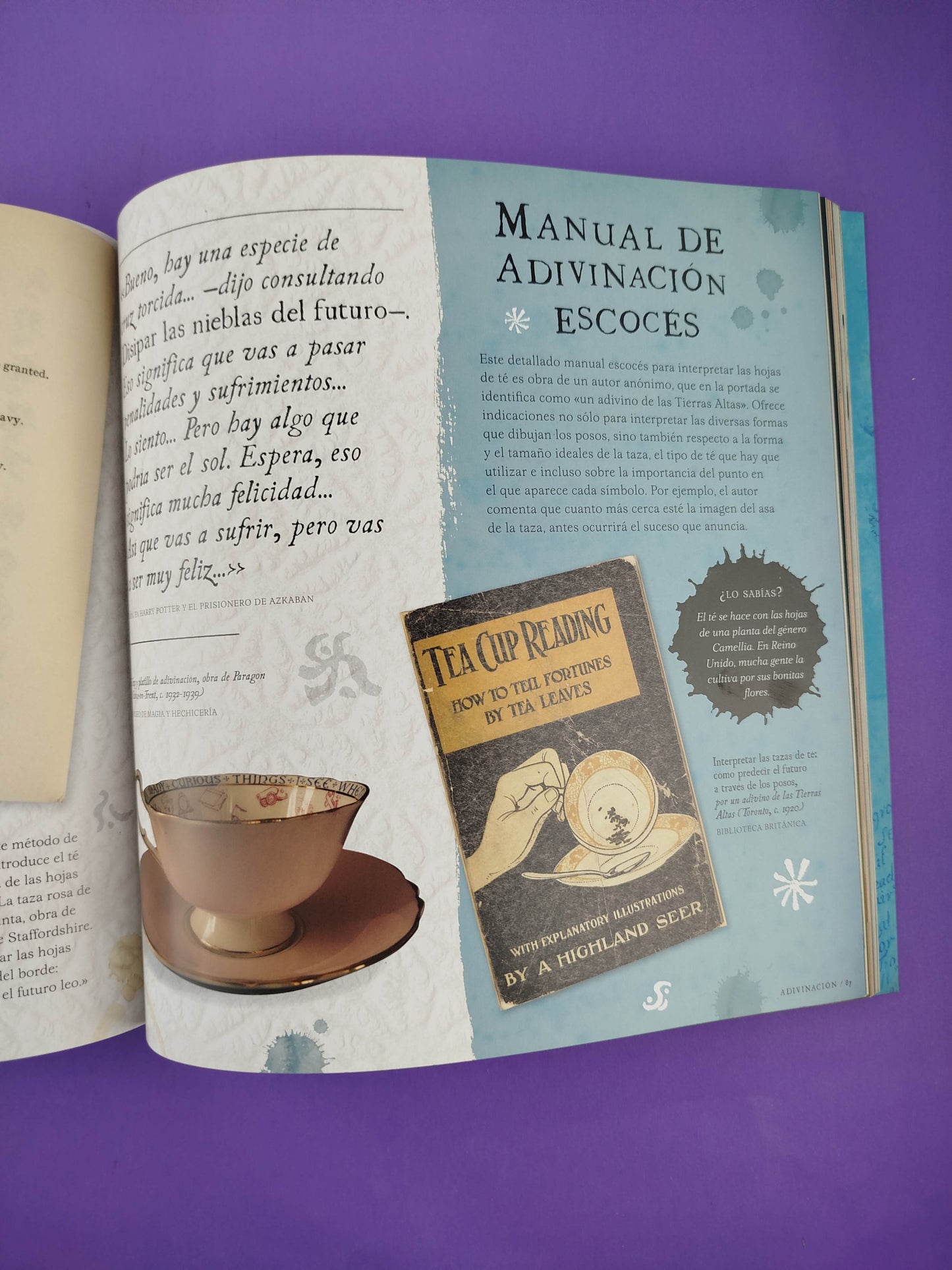 Harry Potter un viaje por la historia de la magia