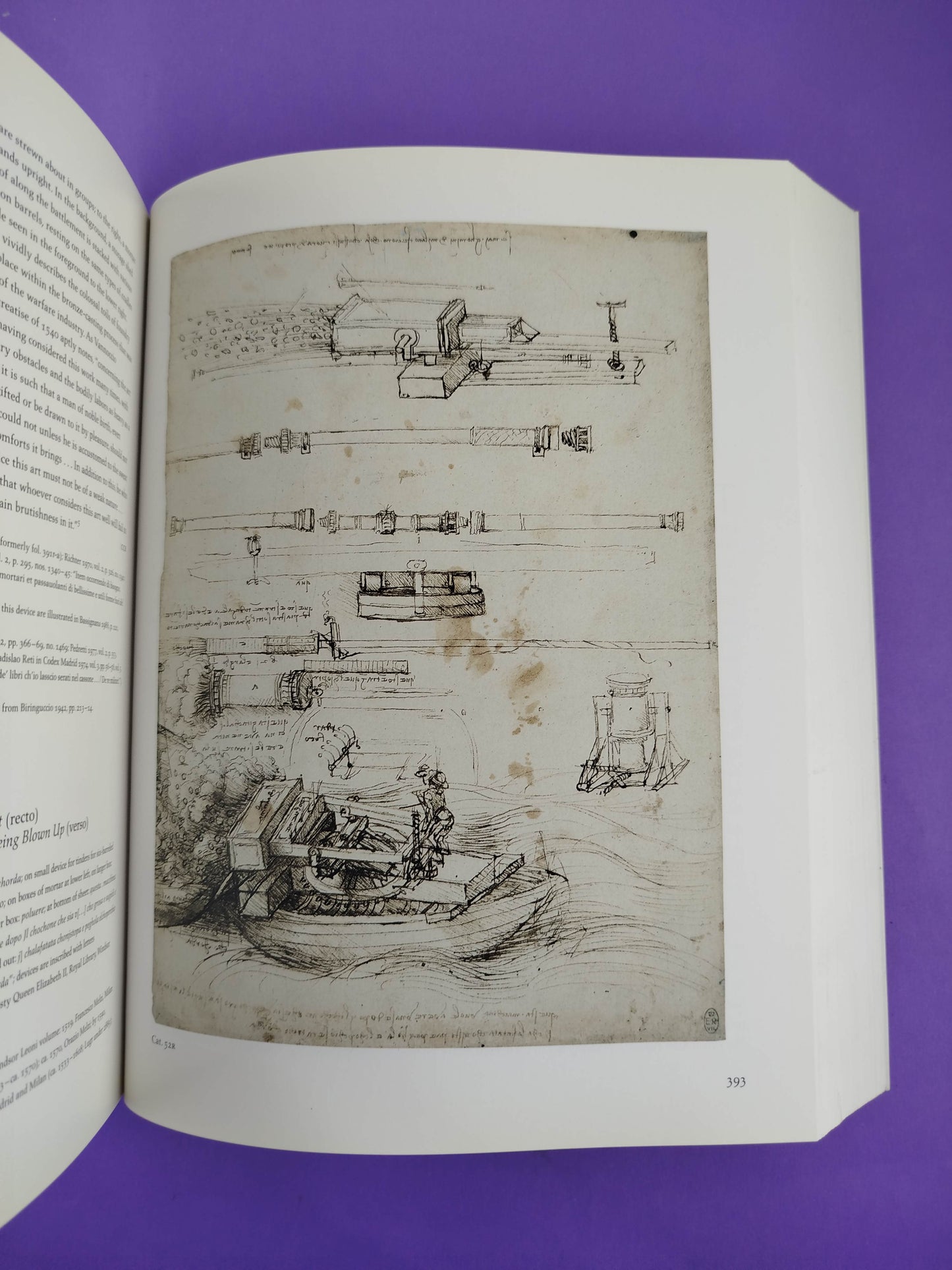 Leonardo Da Vinci master draftsman