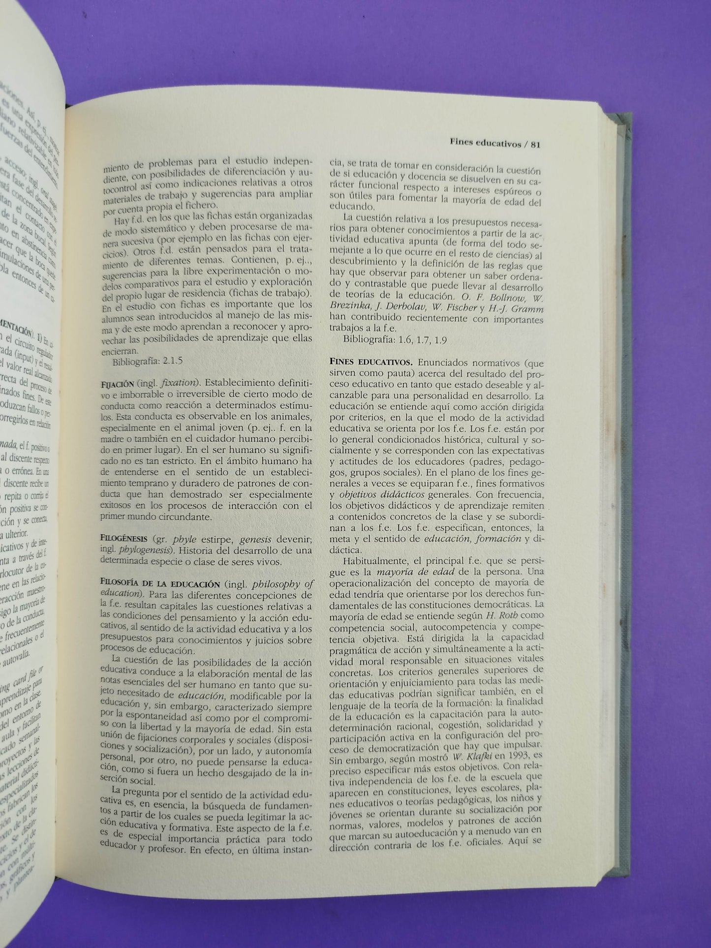 Diccionario akal de pedagogía