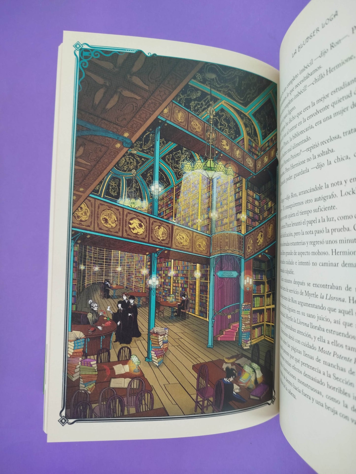 Harry Potter y la cámara secreta edición minalima