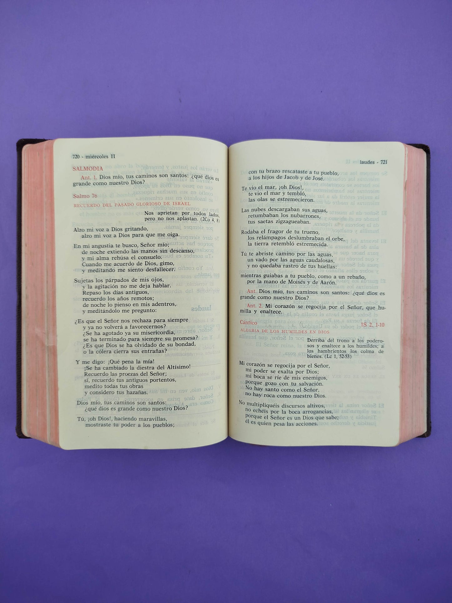 Liturgia de las horas I