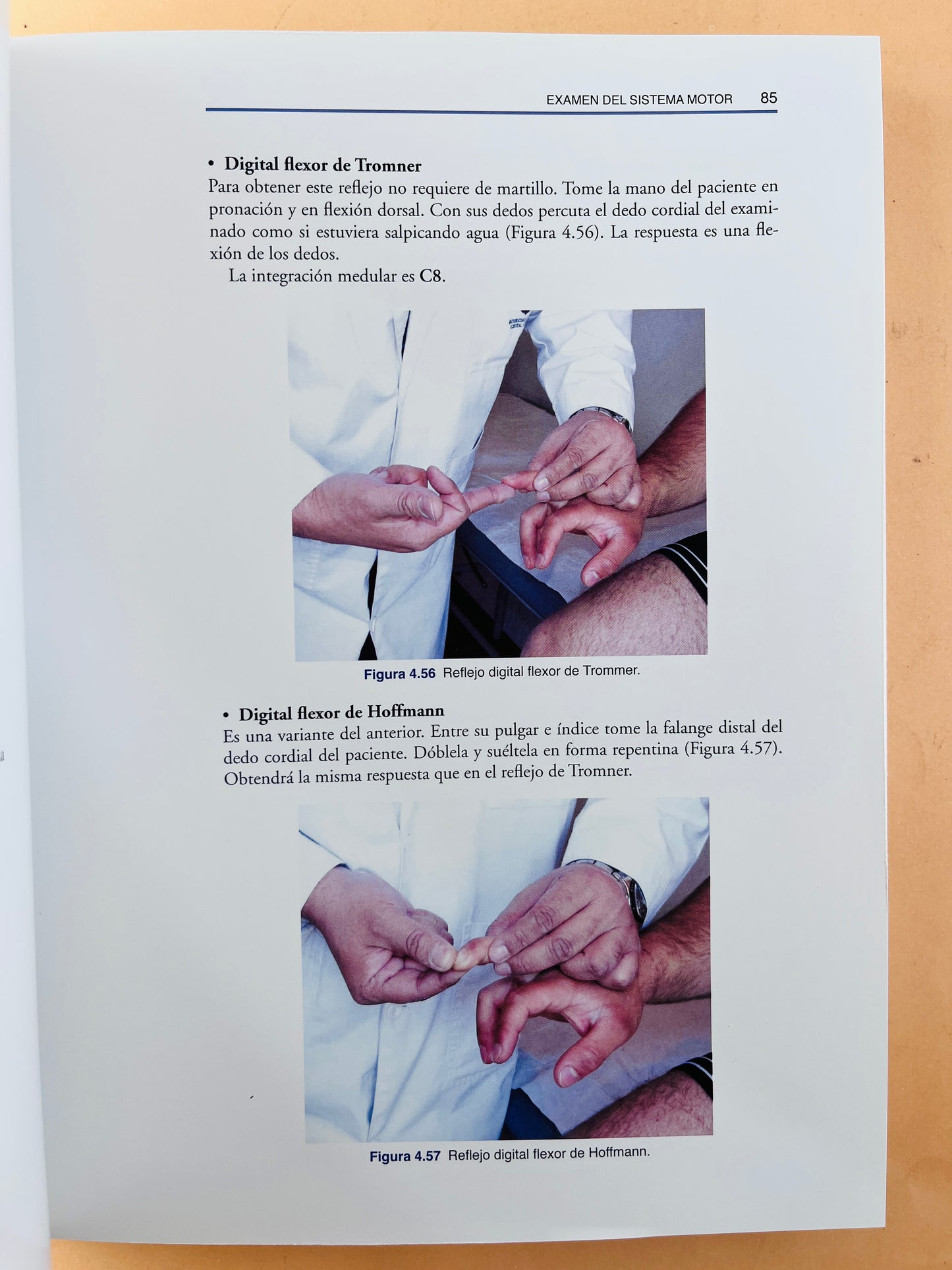 Semiología y fundamentos de la Neurología Clínica segunda edición