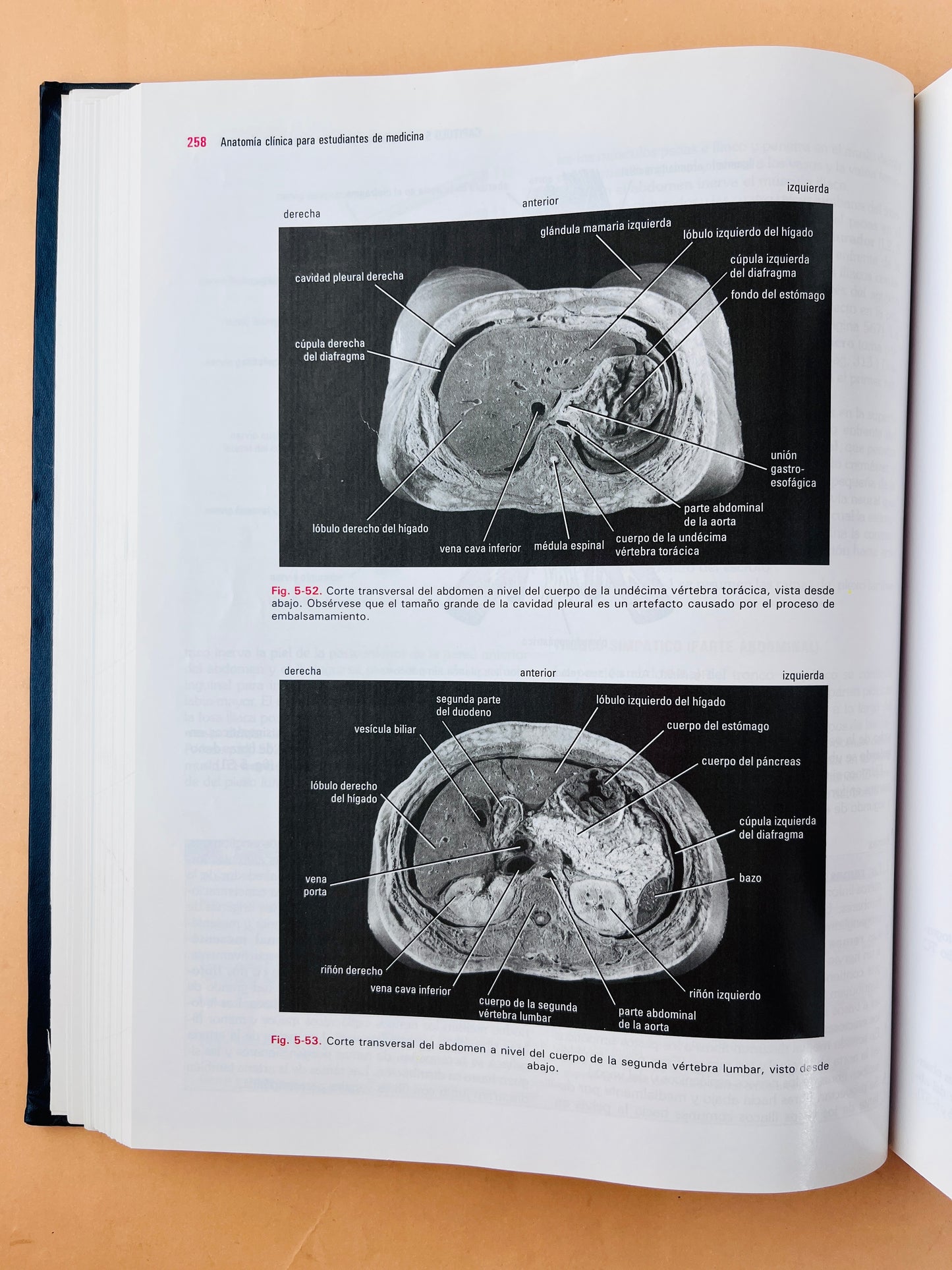 Anatomía clínica para estudiantes de Medicina sexta edición