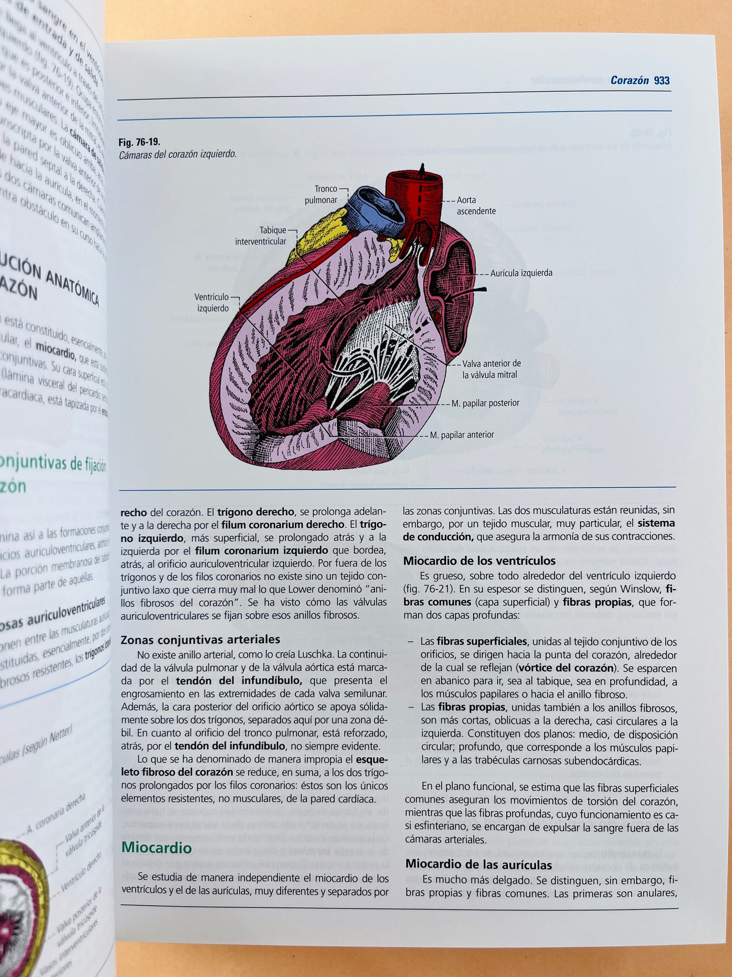 Anatomía humana 4a edición dos tomos