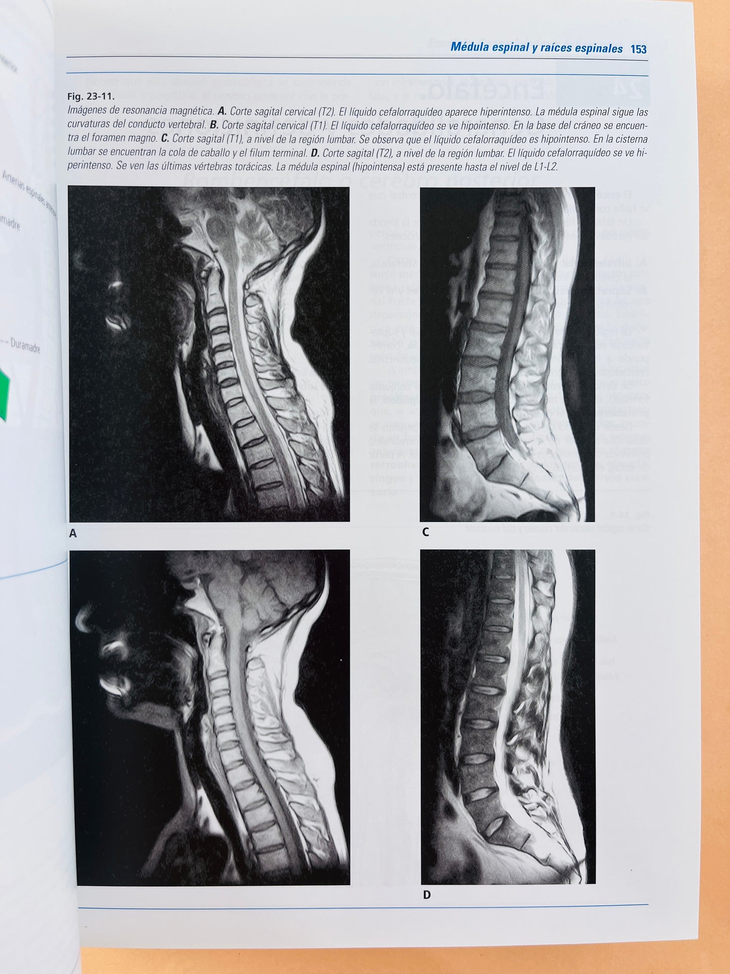 Anatomía humana 4a edición dos tomos