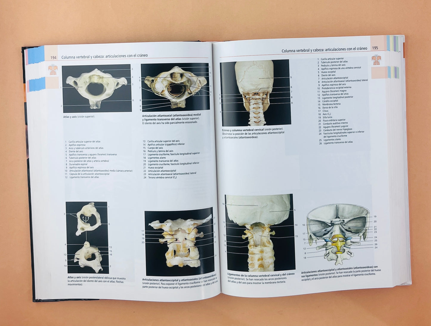 Atlas de anatomía humana estudio fotográfico de cuerpo humano octava edición