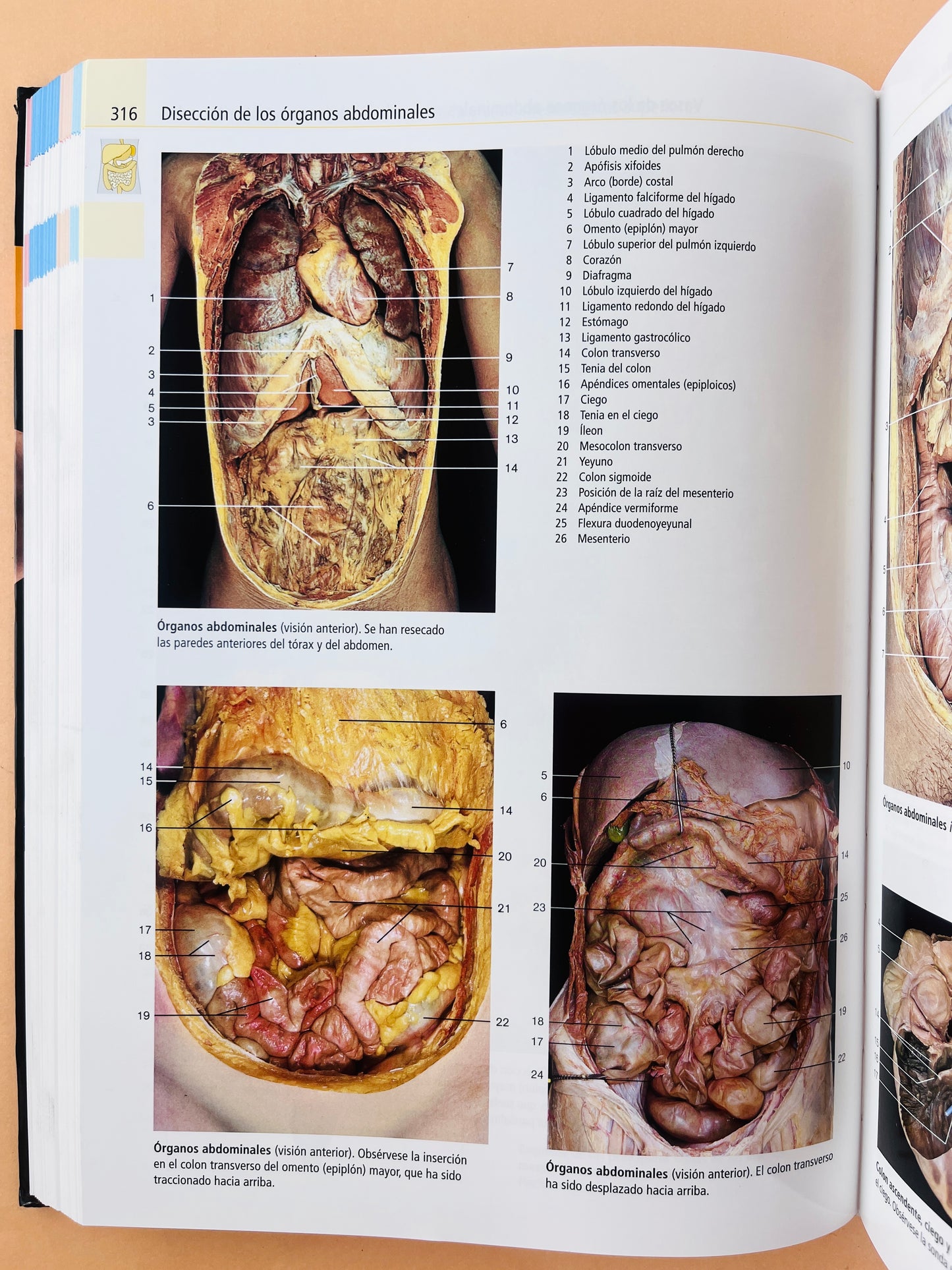 Atlas de anatomía humana estudio fotográfico de cuerpo humano octava edición