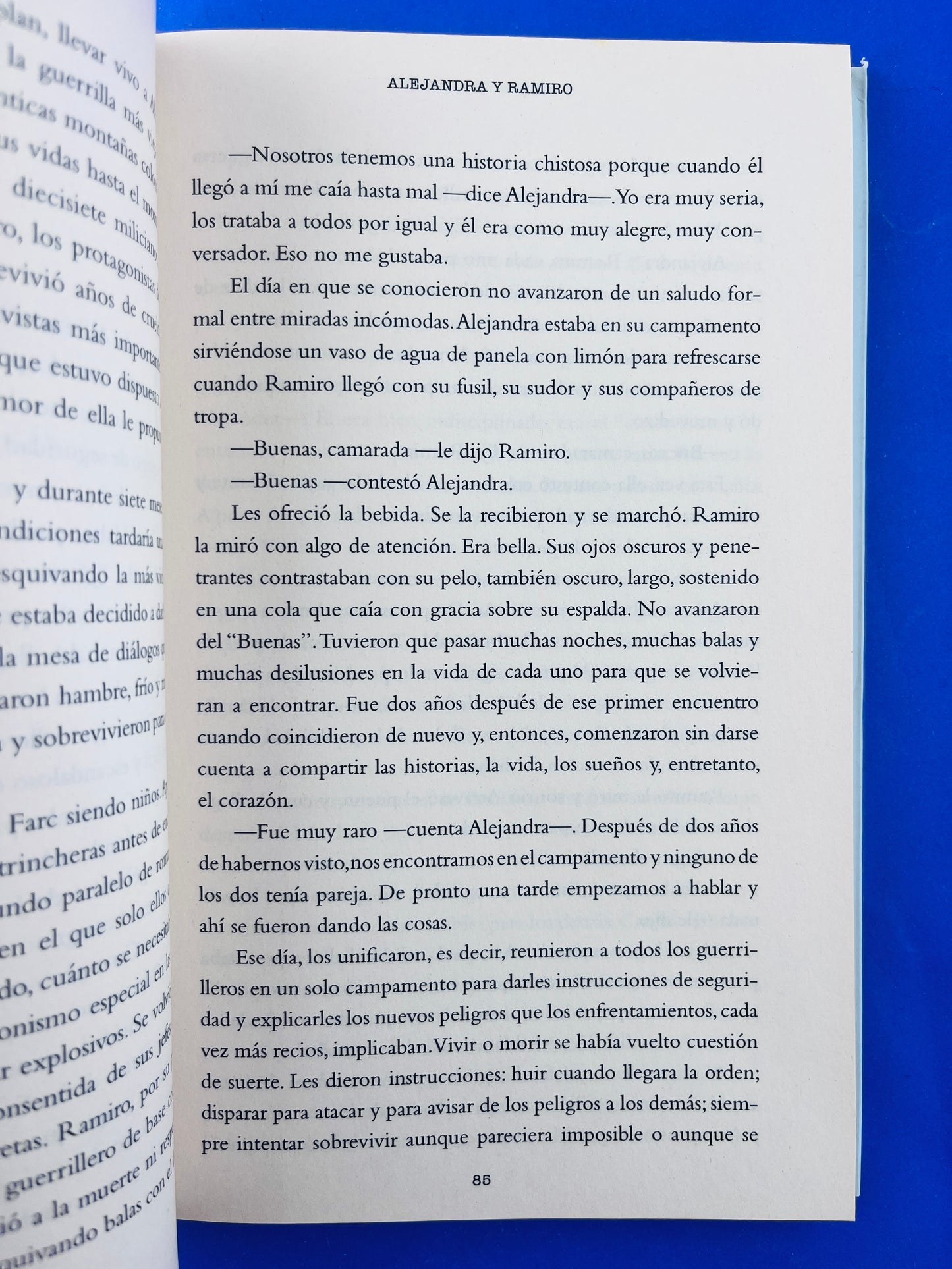 Historias de amor en campos de guerra
