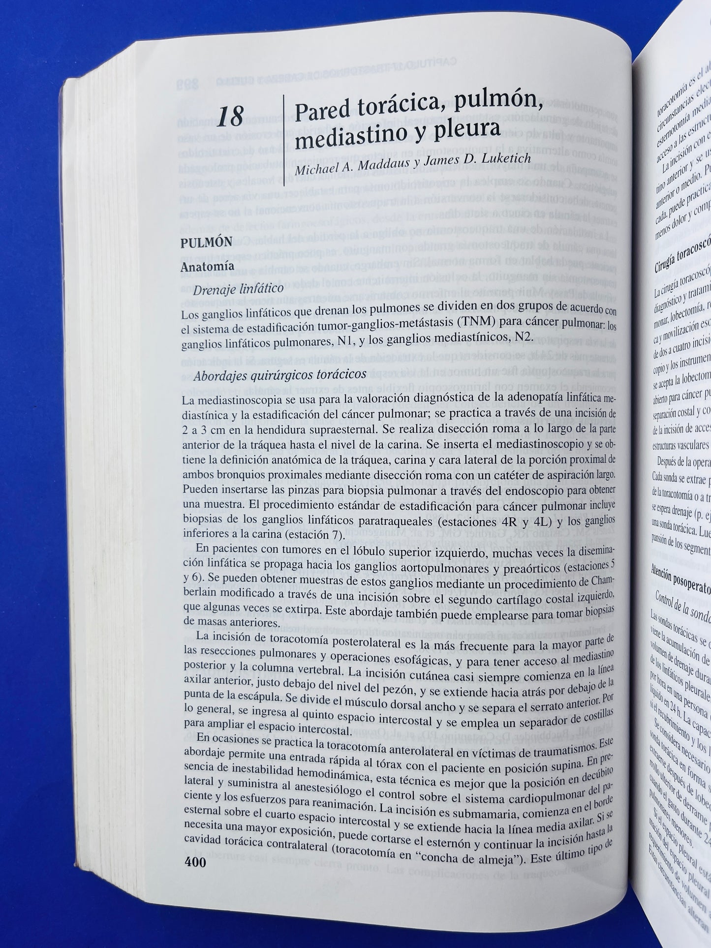 Schwartz Manual de cirugía octava edición