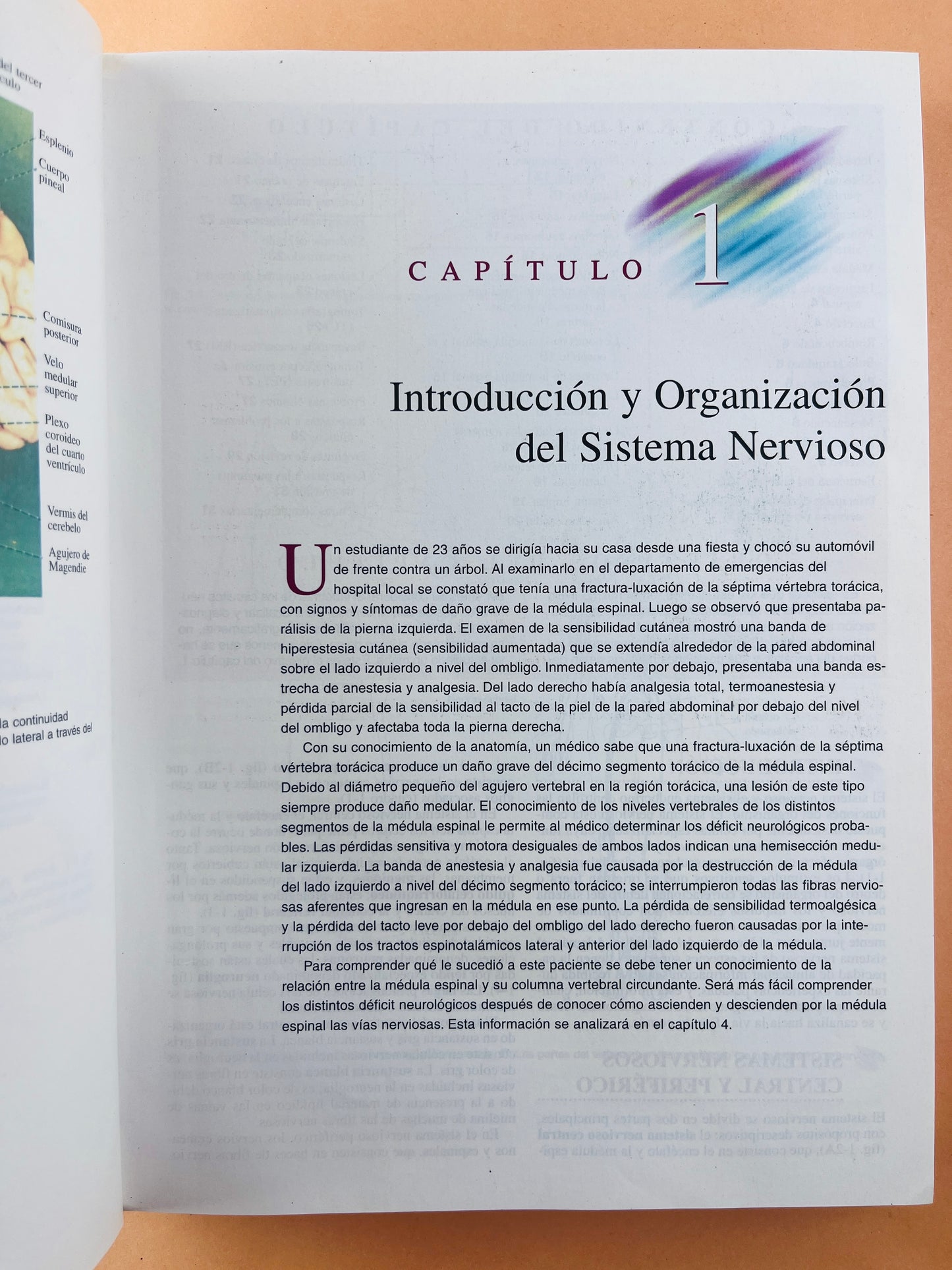 Neuroanatomía clínica 5ta