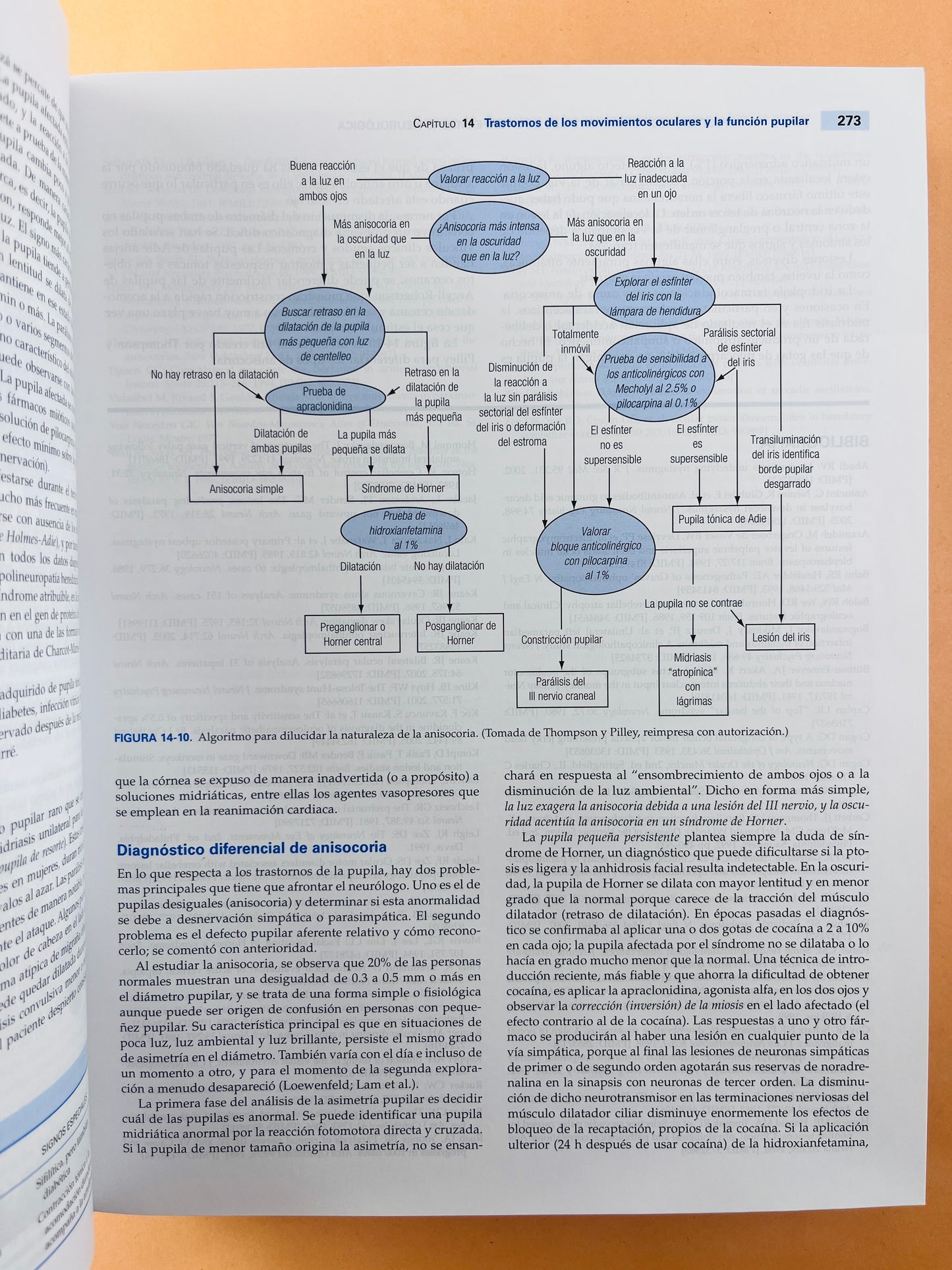 Adams y Victor Principios de meurología novena edición