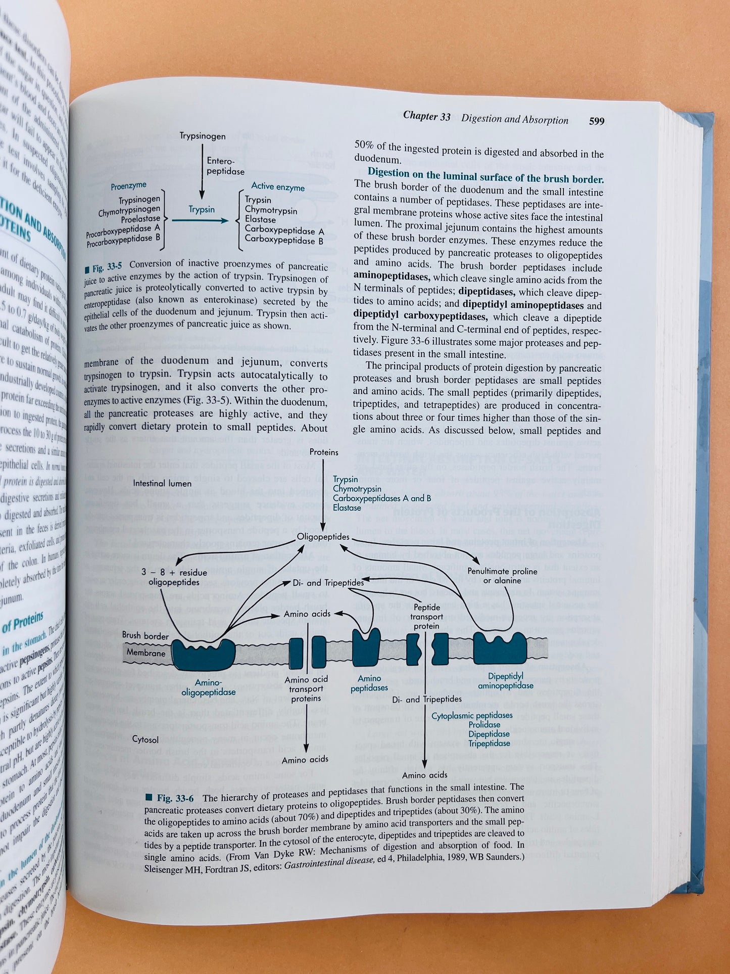 Physiology fifth edition