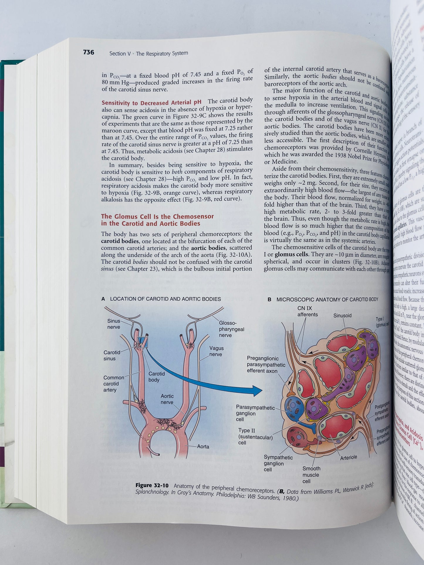 Medical physiology second edition