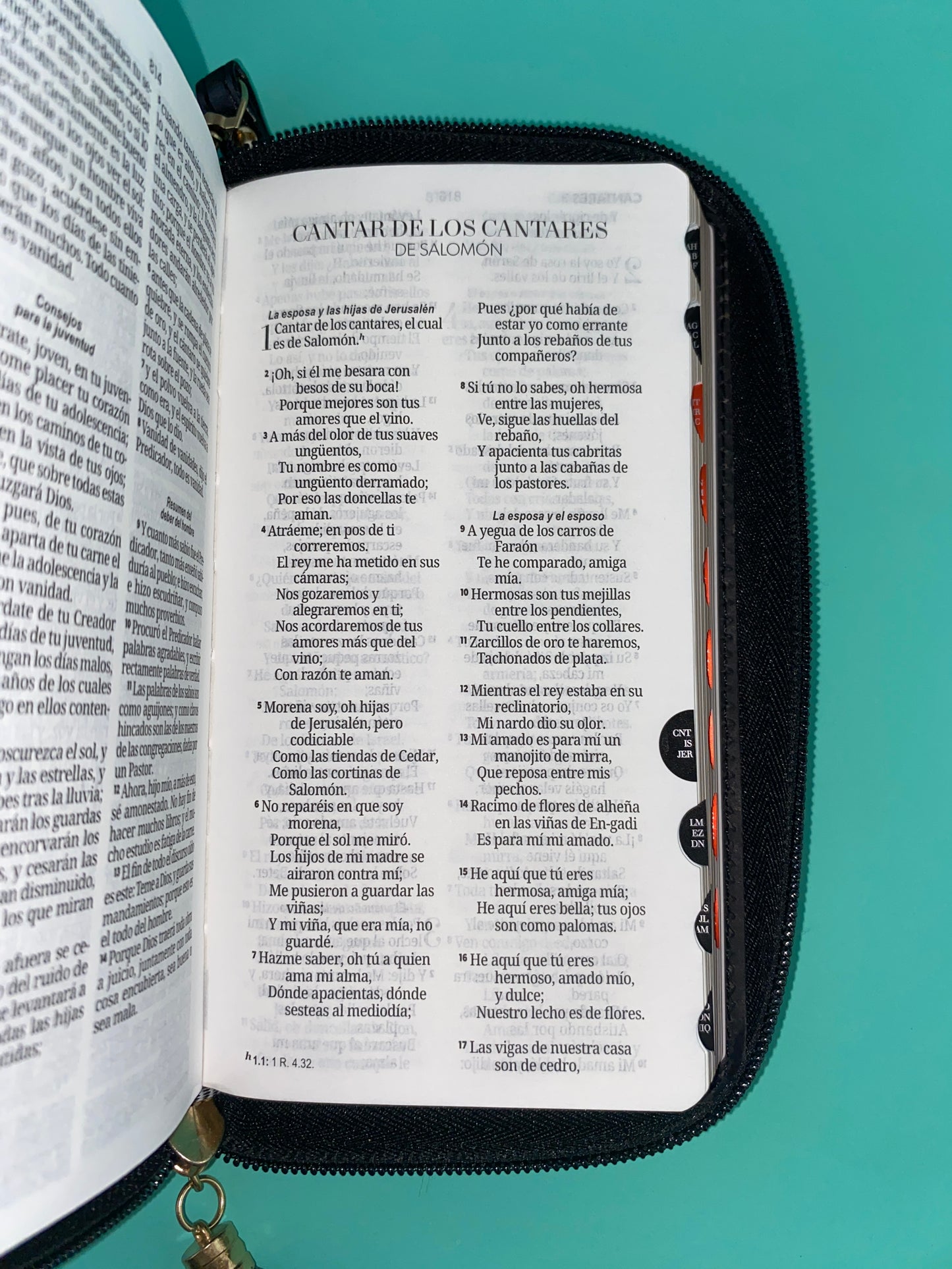 Biblia tipo chequera rvr 1960 con cierre e índice negro - beige