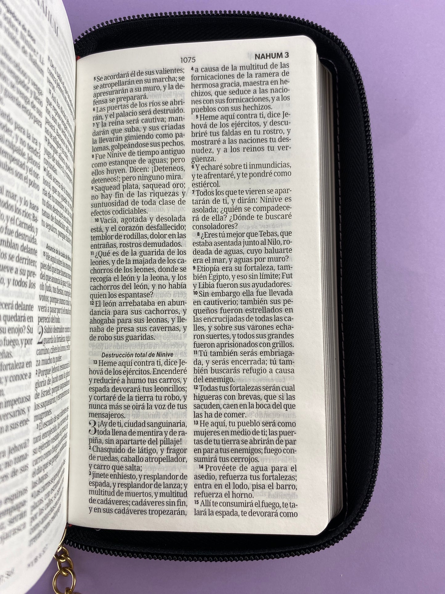 Biblia tipo chequera rvr 1960 con cierre sin índice lila - negro