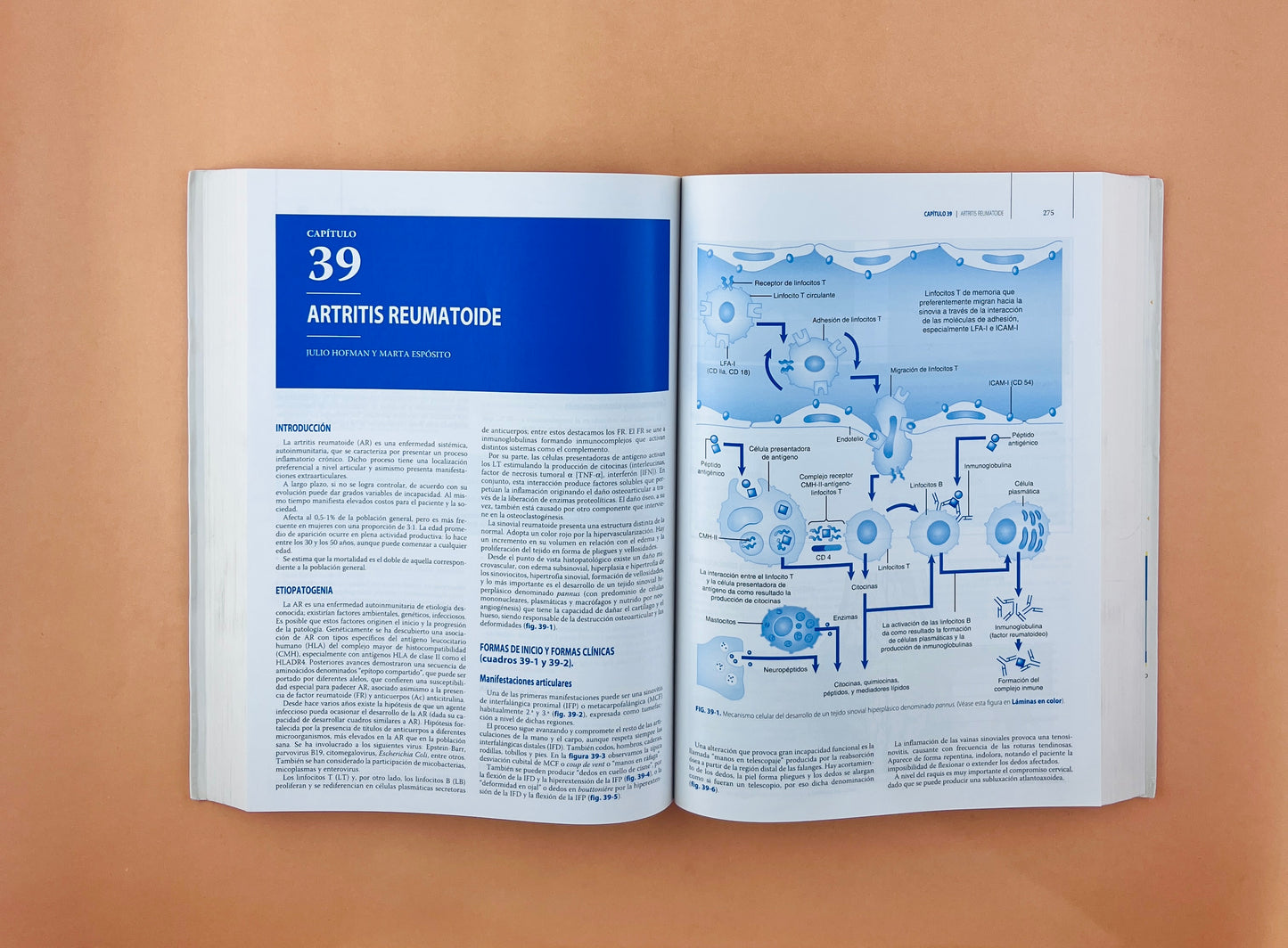 Ortopedia y Traumatología cuarta edición