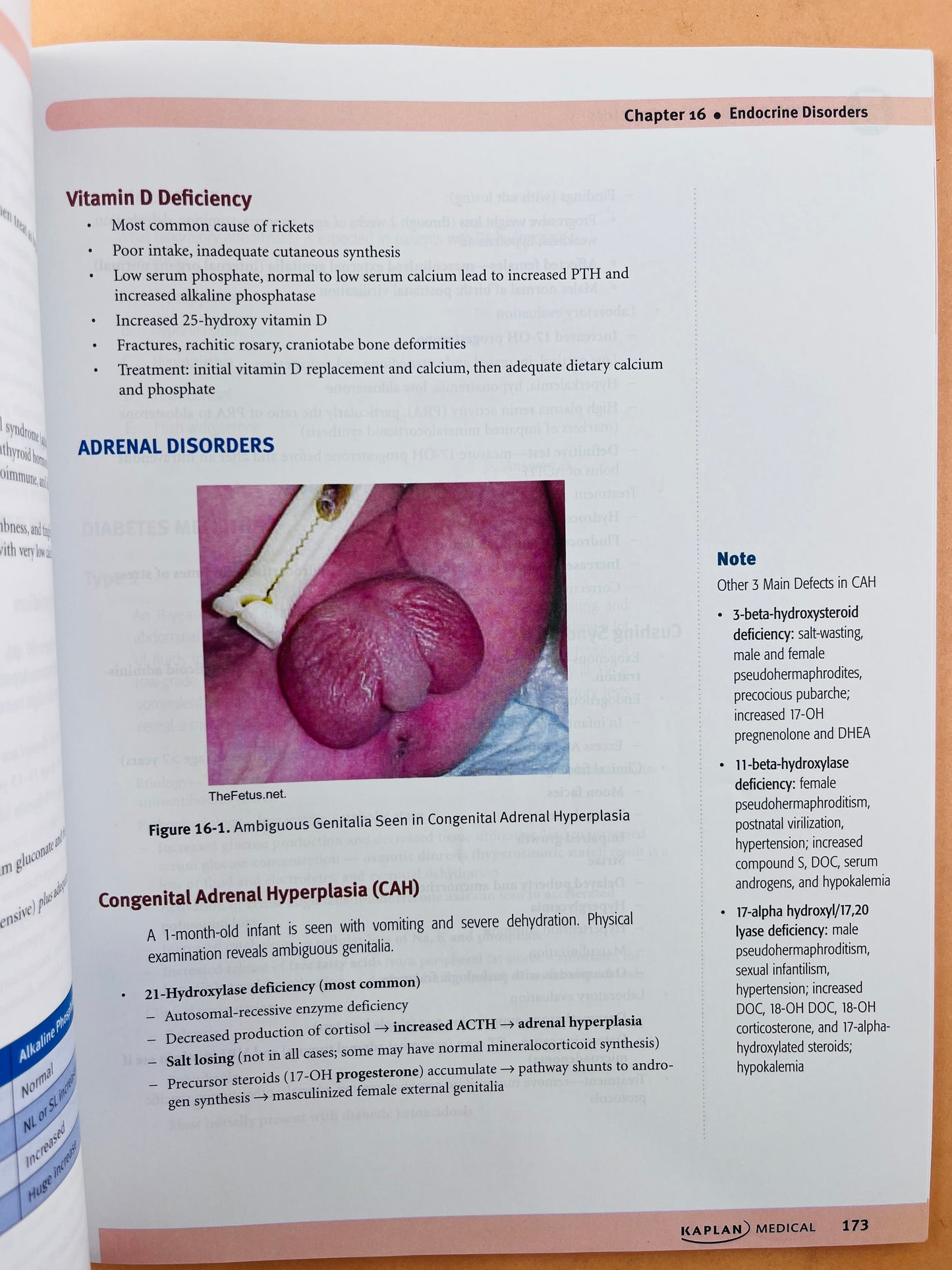 Usmle step 2 CK lectures notes 2021 5 volúmenes